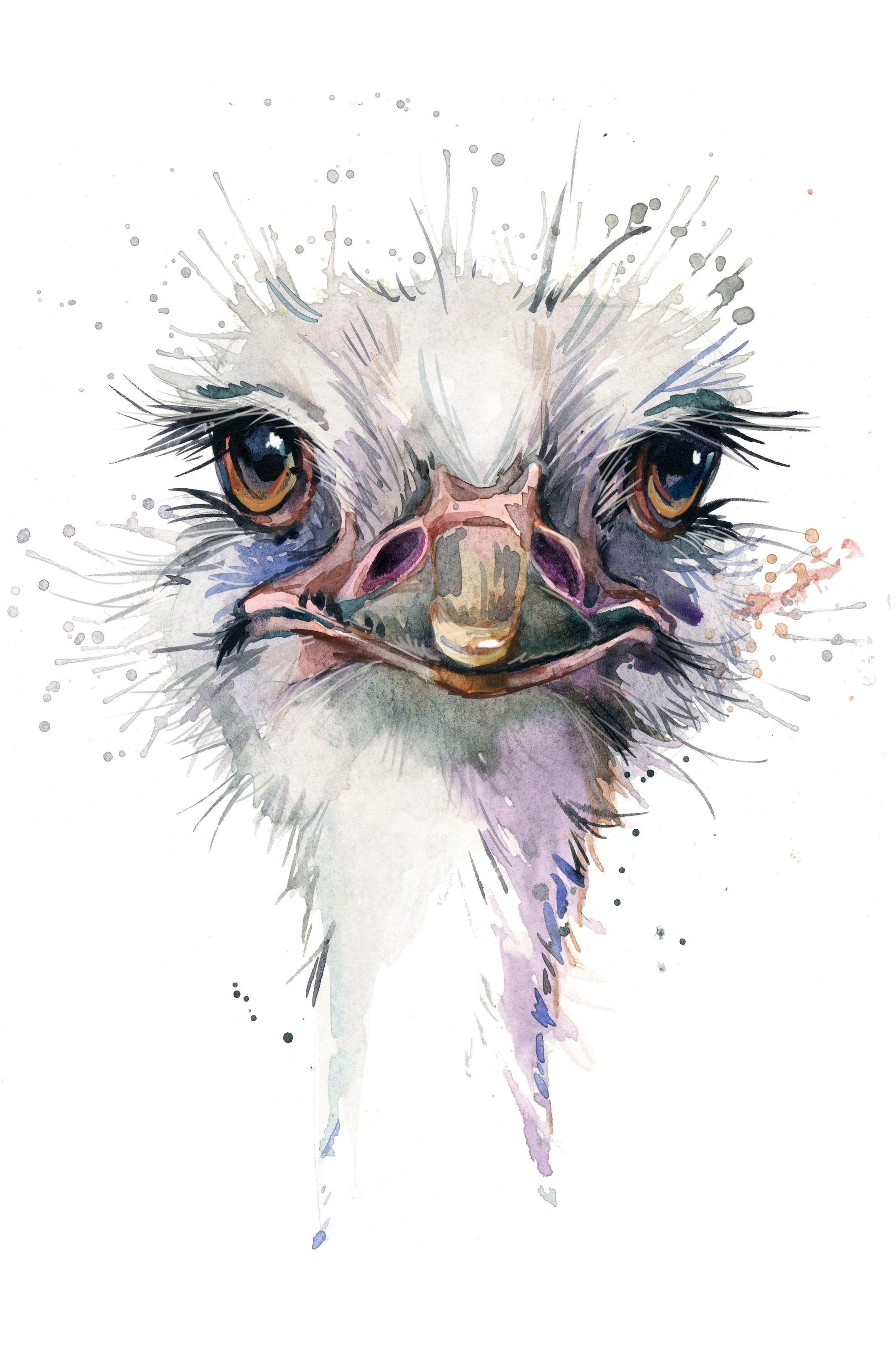 Image of queence Leinwandbild "Vogelstrauss" Kunst Vogelbilder Vögel Premium-Leinwandstoff, Handarbeit aus Deutschland