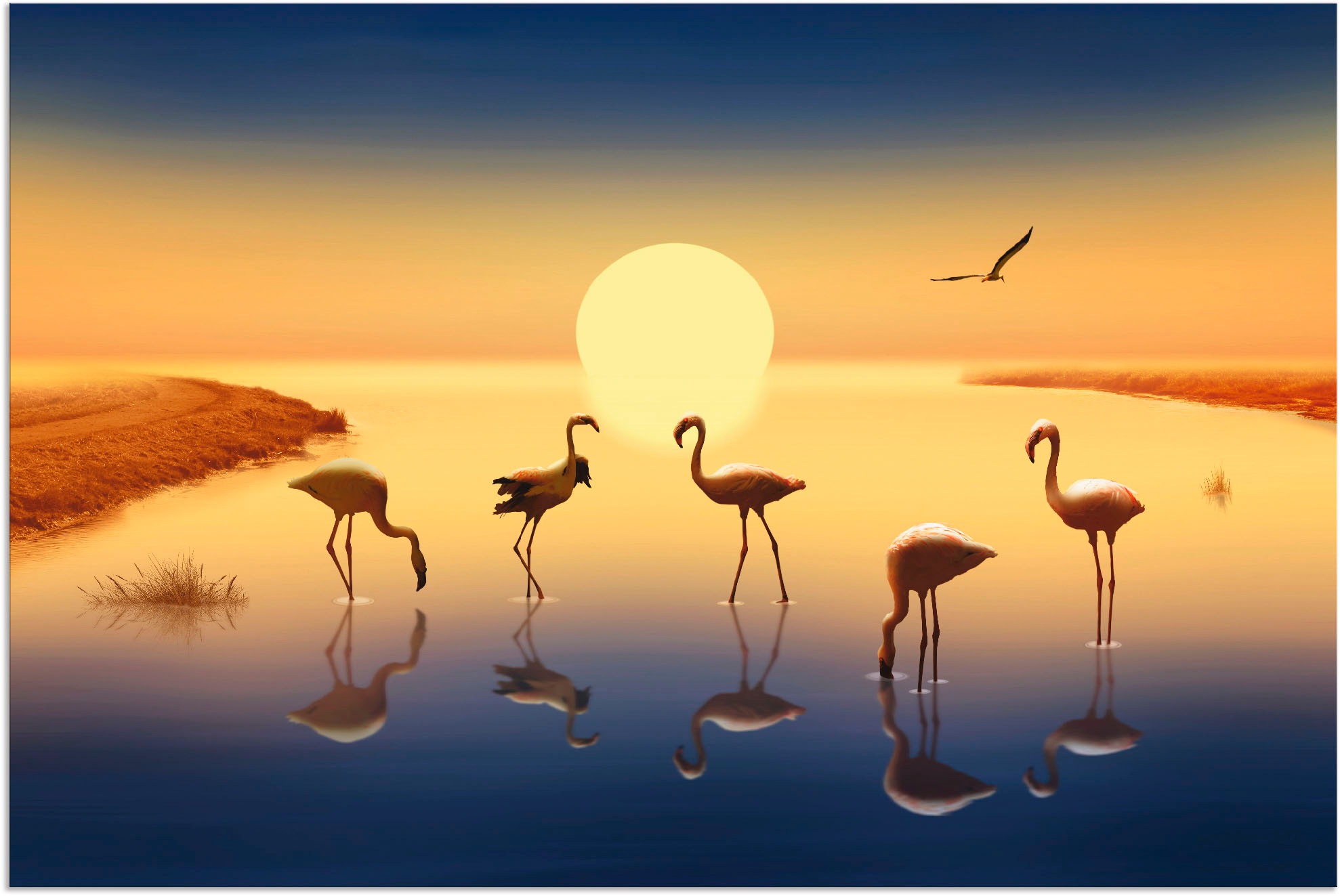 Image of Artland Wandbild »Flamingos in der Abendsonne«, Vögel, (1 St.), in vielen Grössen & Produktarten - Alubild / Outdoorbild für den Aussenbereich, Leinwandbild, Poster, Wandaufkleber / Wandtattoo auch für Badezimmer geeignet bei Ackermann Versand Schweiz