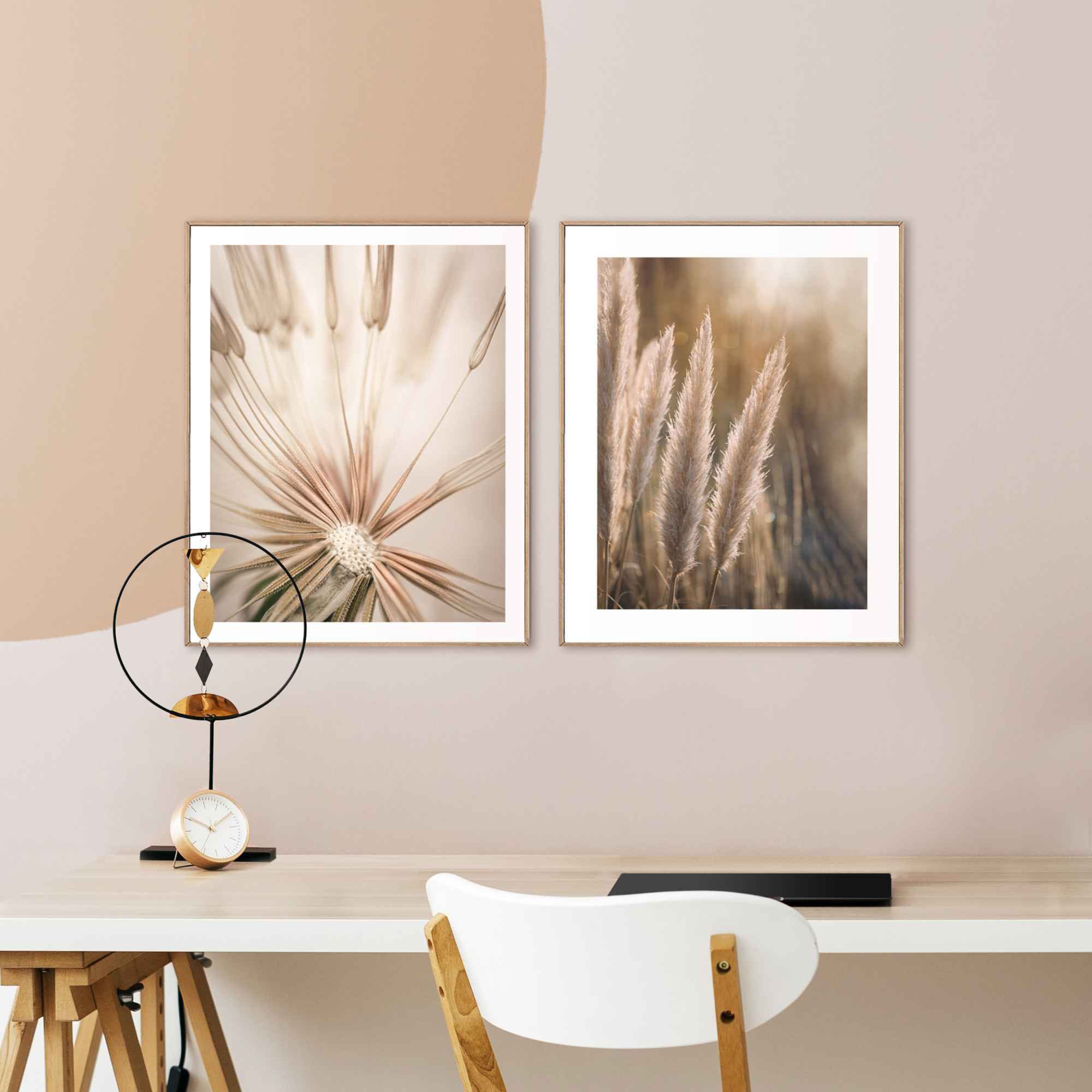 Image of Reinders Wandbild "Natur Botanisch - Pampas - Löwenzahn - Nahaufnahme" 2 Stk. tlg.