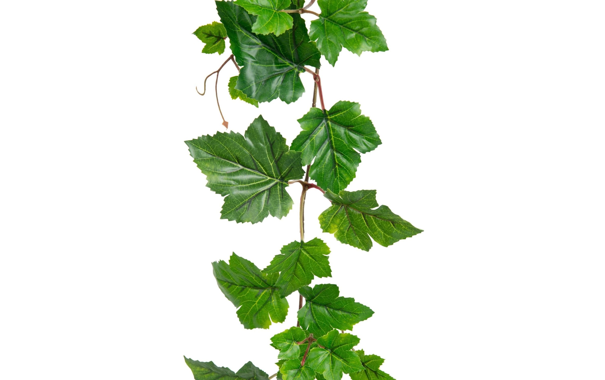 Kunstblume »Dekomat AG Weinlaubengirlande 150 cm«