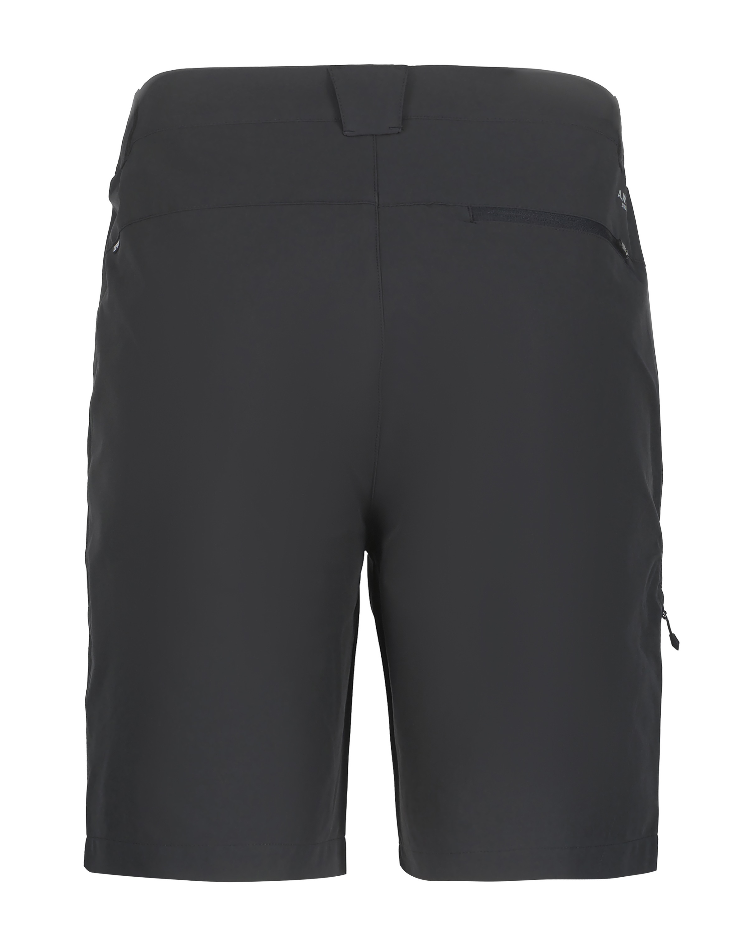 Icepeak Funktionsshorts »BERWYN«