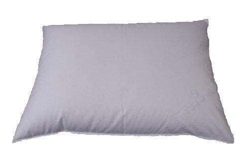 Image of billerbeck Kopfkissen »Hirse- und Daunenkissen«, Füllung: Oben: 90% neue europäische Gänsedaunen,10% Federchen, kein Lebendrupf Unten: 100% Hirseschalen (Goldfarbenhirse), Bezug: 100% Baumwolle, (1 St.) bei Ackermann Versand Schweiz