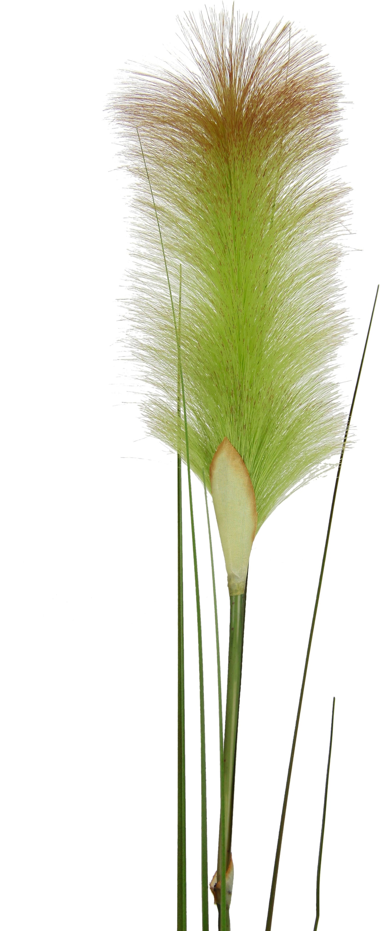 I.GE.A. Kunstpflanze »Pampas«, Pampasgras, Boho, 2er Set