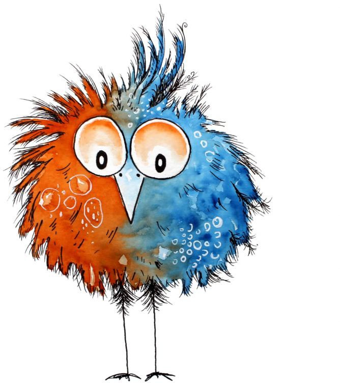 Image of Wall-Art Wandtattoo »Lebensfreude - Schräger Vogel«, (1 St.) bei Ackermann Versand Schweiz