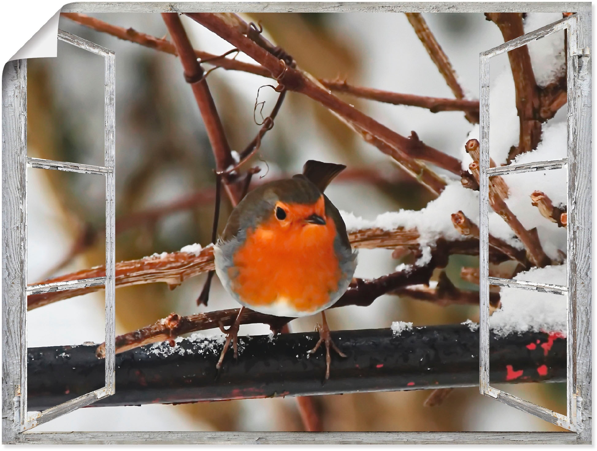 Wandbild Rotkehlchen«, oder Vögel, »Fensterbild Alubild, Poster Grössen in (1 - St.), als maintenant Wandaufkleber Artland versch. Leinwandbild,