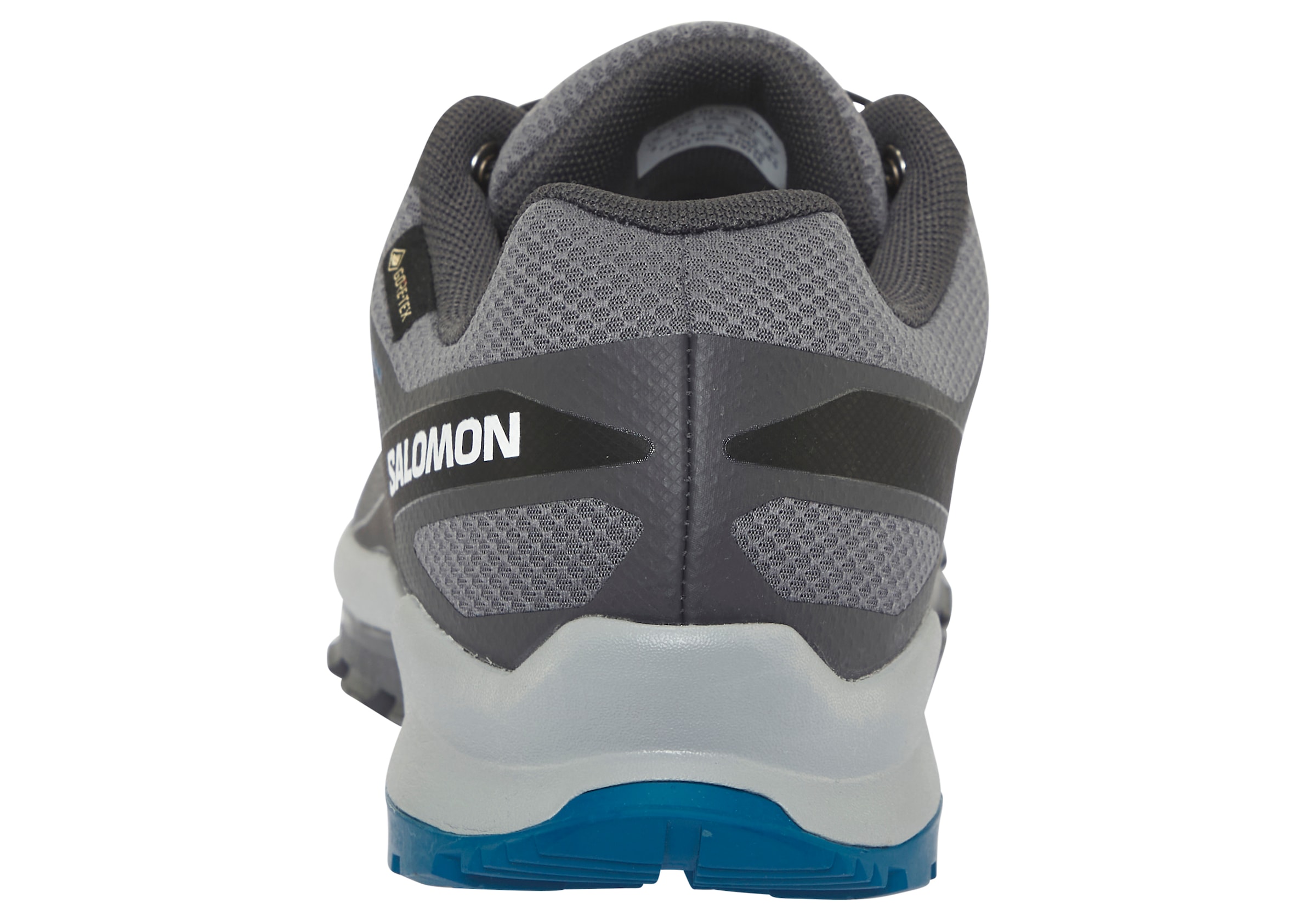 Salomon Trailrunningschuh »XA FLYER GORE-TEX«, wasserdicht