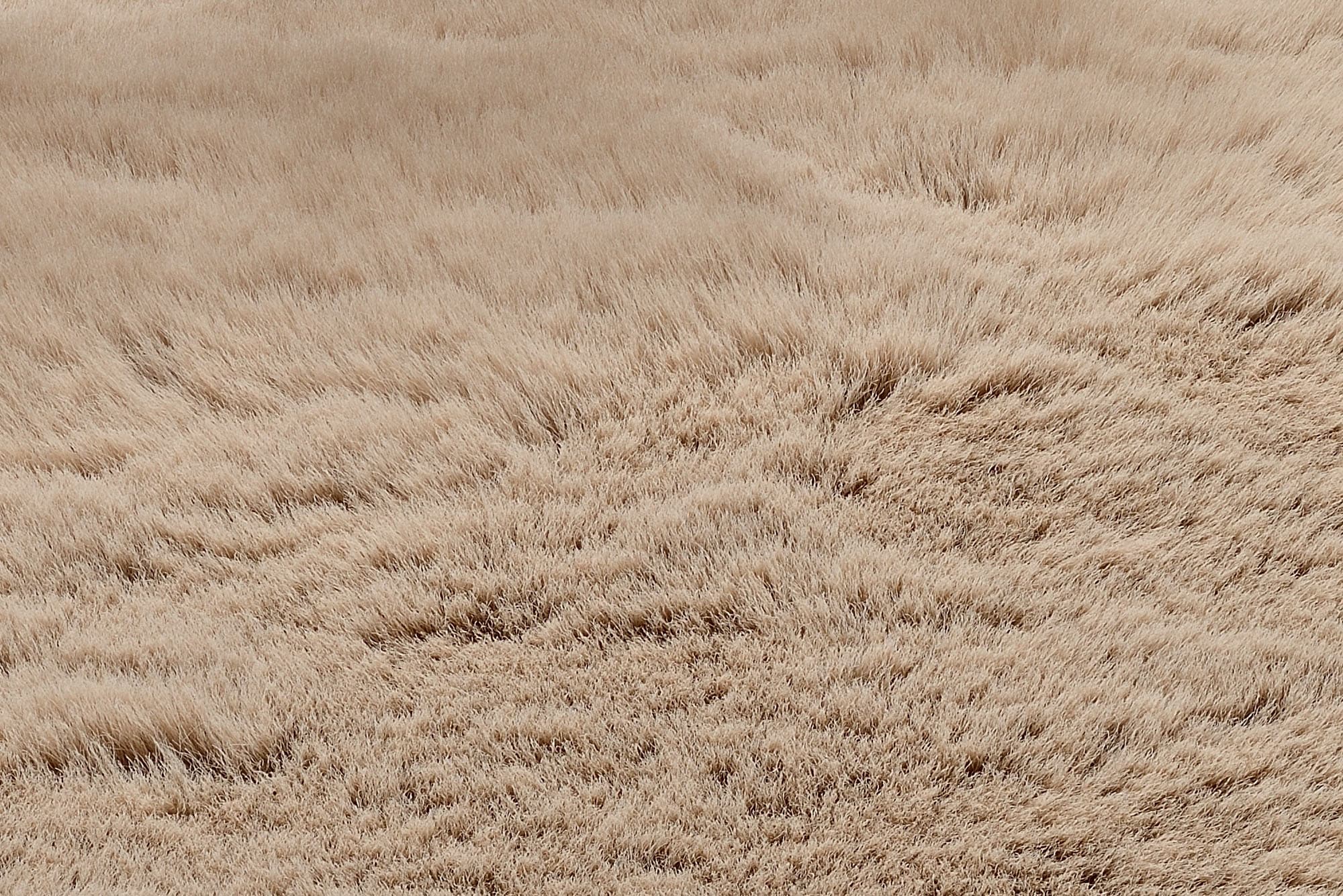 OCI DIE TEPPICHMARKE Teppich »BUFFY SOFT«, rund, 25 mm Höhe