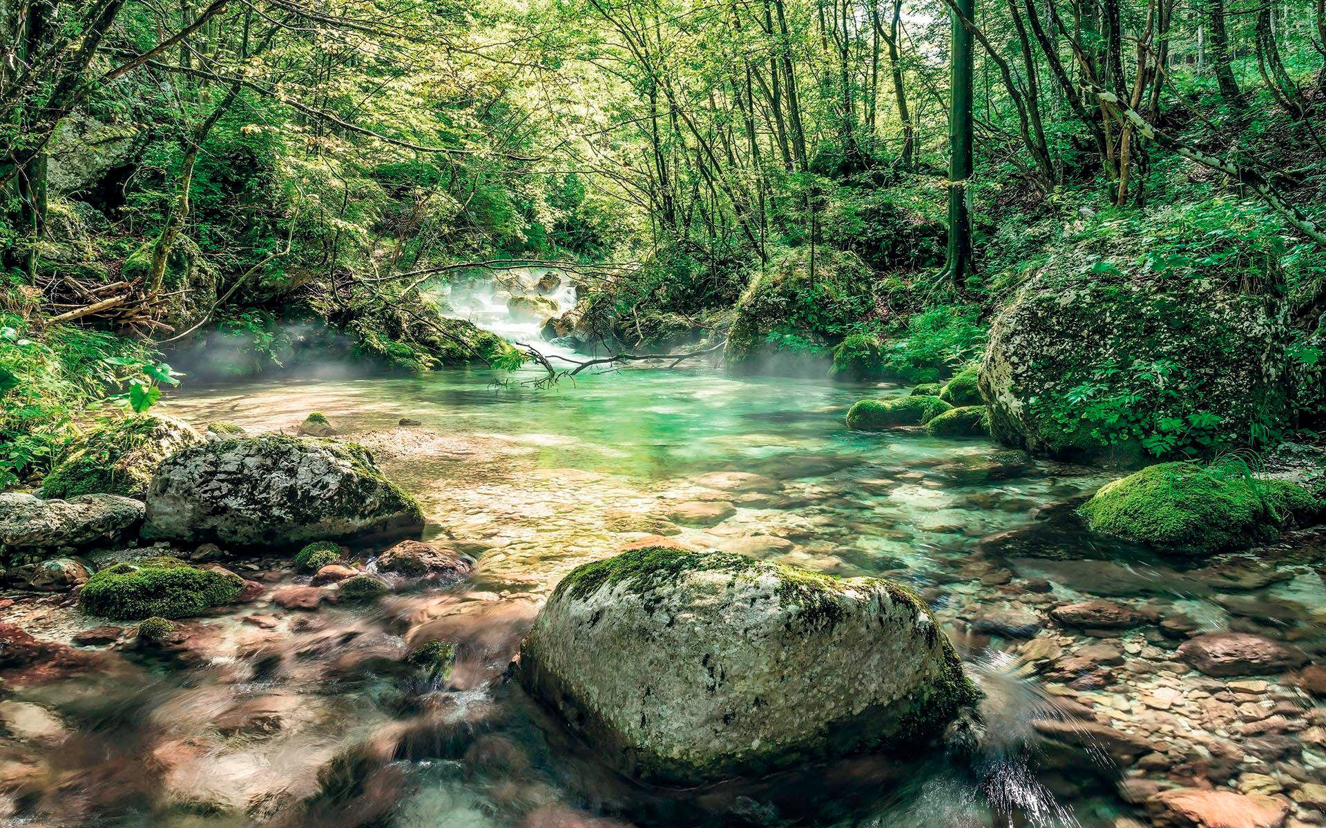 Image of Komar Vliestapete »Tranquil Pool«, naturalistisch bei Ackermann Versand Schweiz