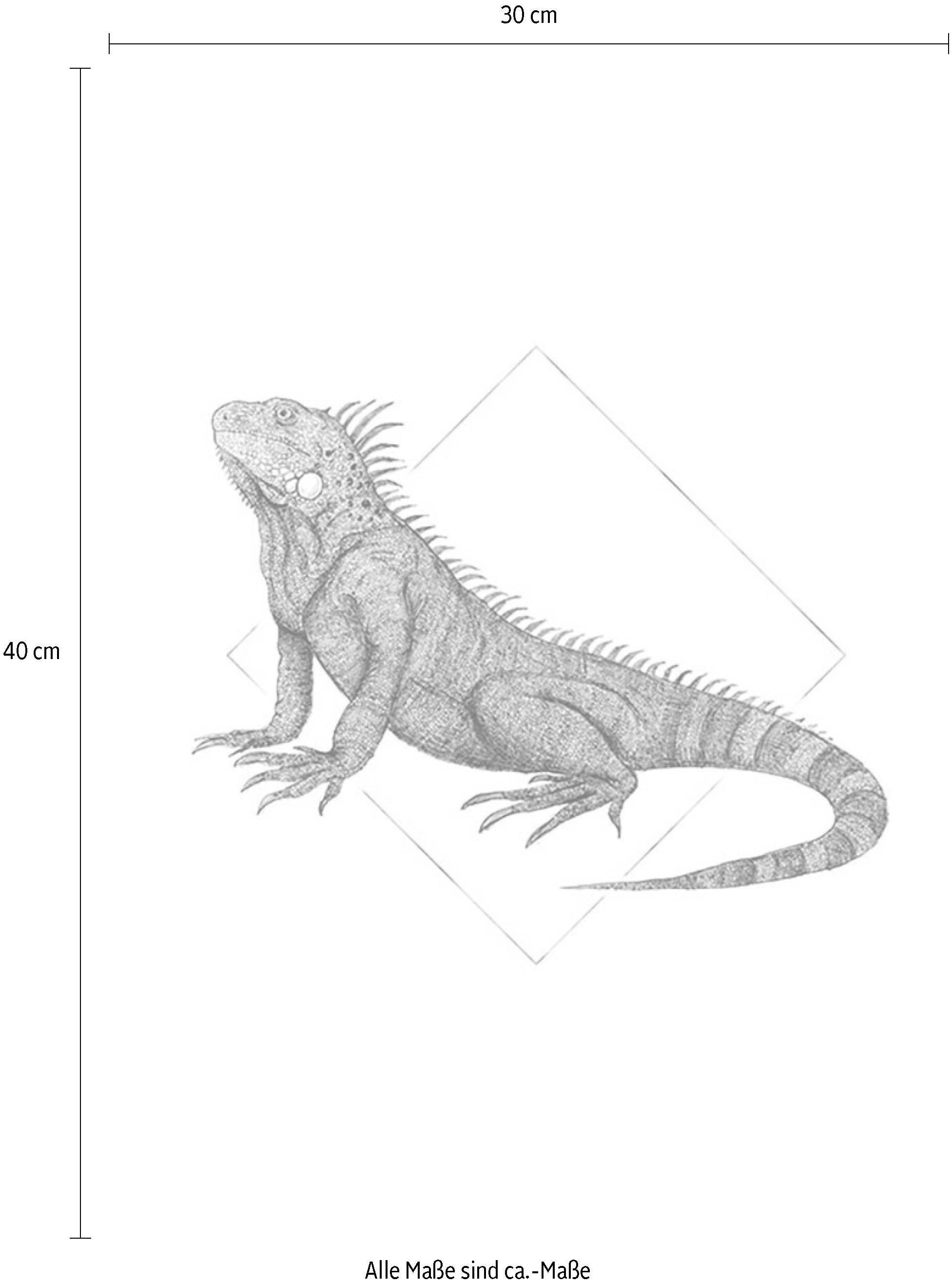 Komar Bild »Iguana White« Tiere 1 Stk. tlg. Wandbild zur Dekoration - ohne Rahmen