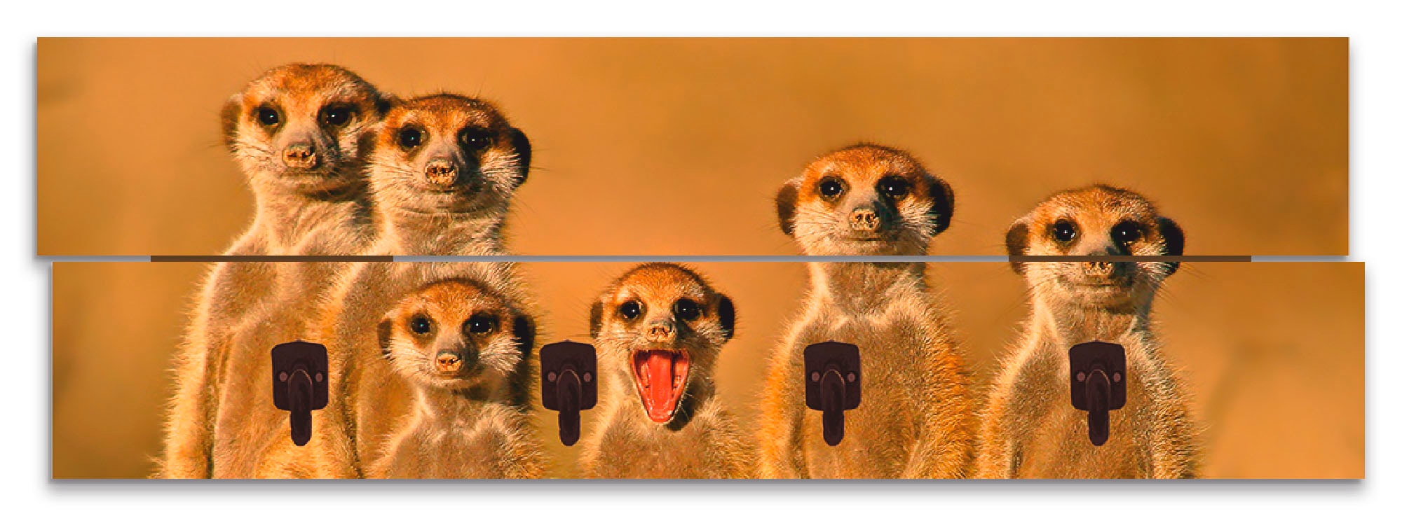 Image of Artland Garderobenleiste »Erdmännchen Familie«, platzsparende Wandgarderobe aus Holz mit 4 Haken, geeignet für kleinen, schmalen Flur, Flurgarderobe bei Ackermann Versand Schweiz