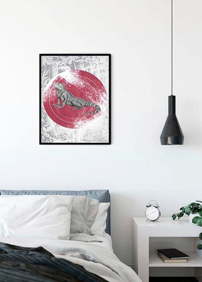 Komar Image »Iguana Circle« 1 cuis tlg. Wandbild zur Dekoration - ohne Rahmen