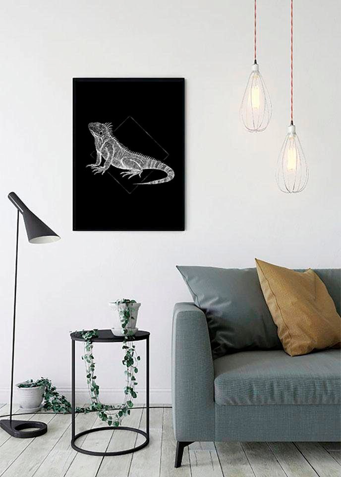 Komar Poster »Iguana Black«, (Packung, auf Anzahl Tiere, 1), Teile Schlafzimmer, Wohnzimmer Kinderzimmer, 1 St., versandkostenfrei