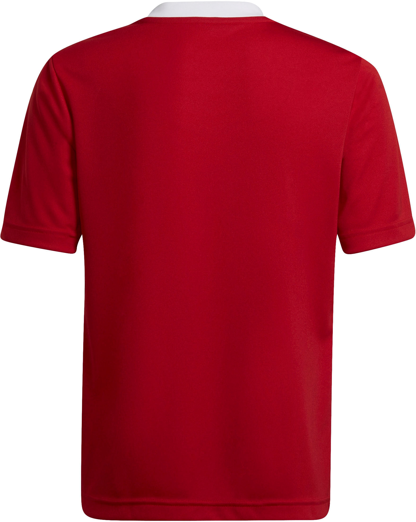 adidas Performance Fussballtrikot »ENT22 JSY Y«