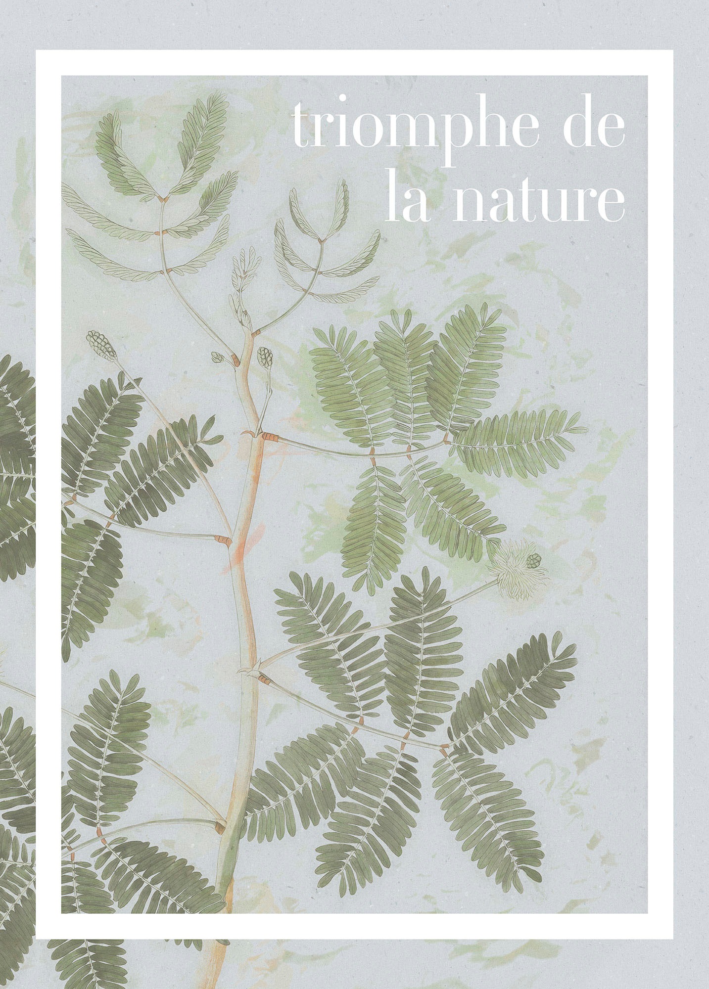 Image of Komar Wandbild »Triomphe de la nature«, (1 St.), Deutsches Premium-Poster Fotopapier mit seidenmatter Oberfläche und hoher Lichtbeständigkeit. Für fotorealistische Drucke mit gestochen scharfen Details und hervorragender Farbbrillanz. bei Ackermann Versan