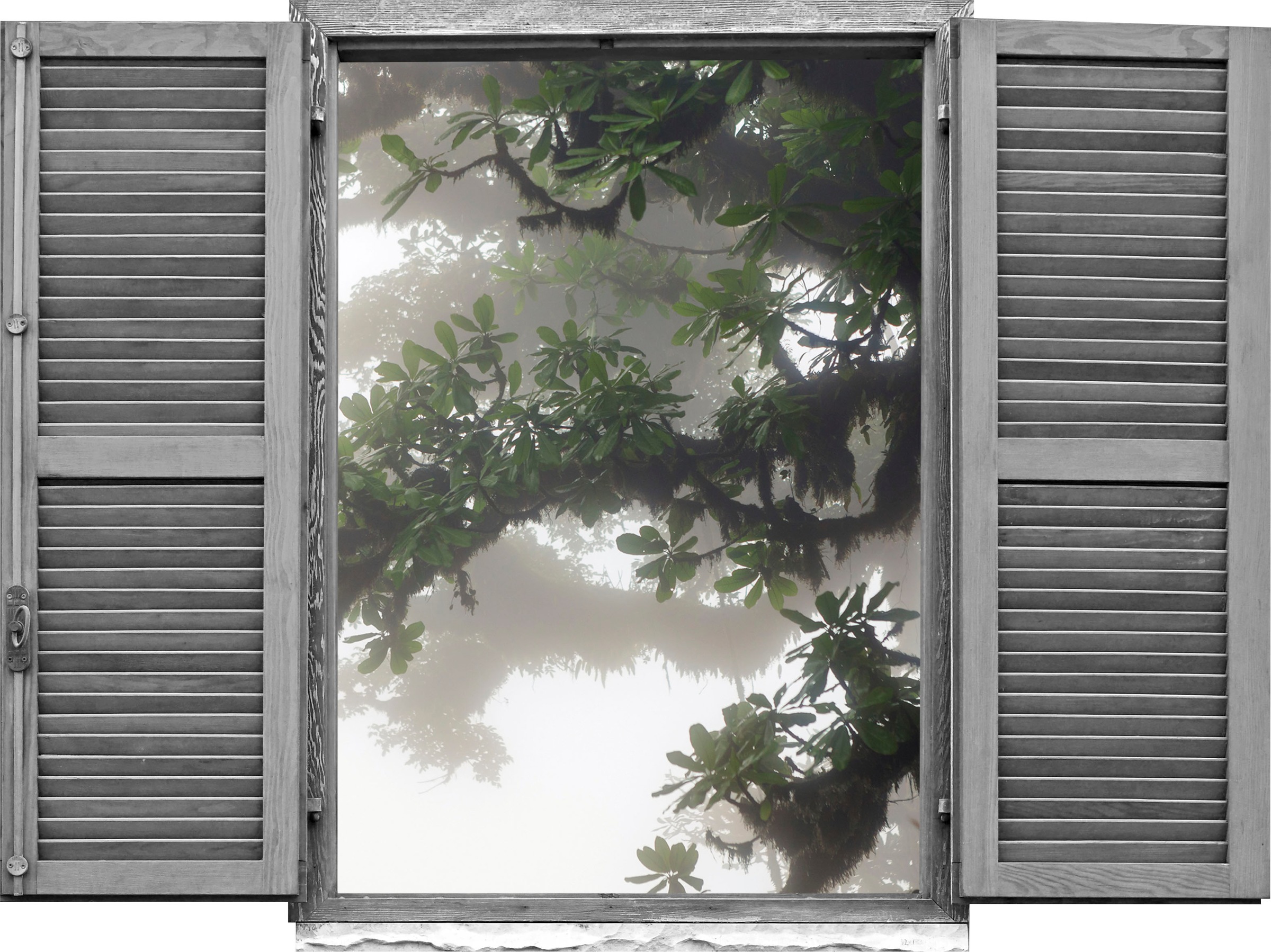 Image of queence Wandtattoo "Asiatischer Baum" Wandsticker, Wandbild, selbstklebend, 3D, Fenster