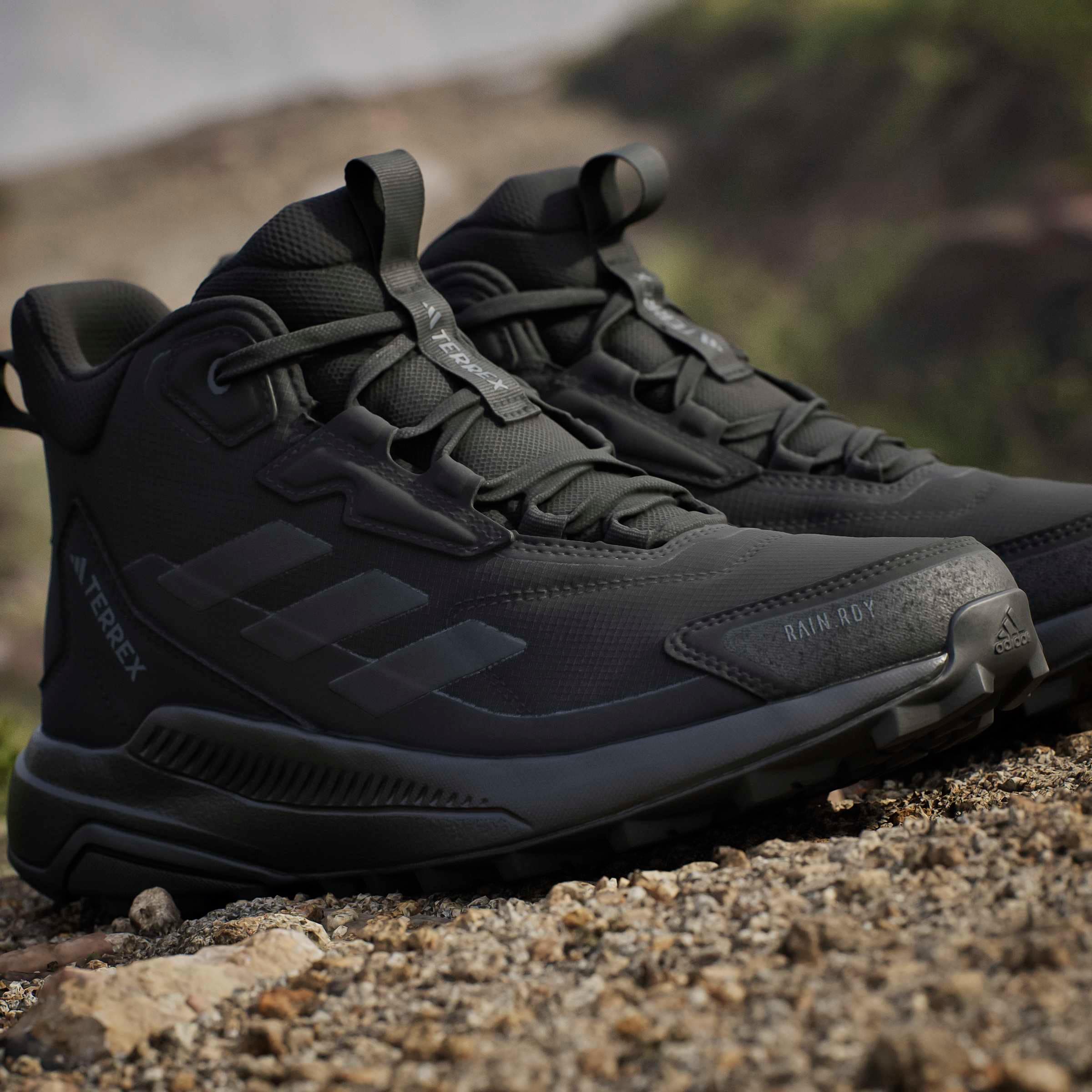 adidas TERREX Chaussure de randonnée »ANYLANDER MID R.RDY W«  wasserdicht