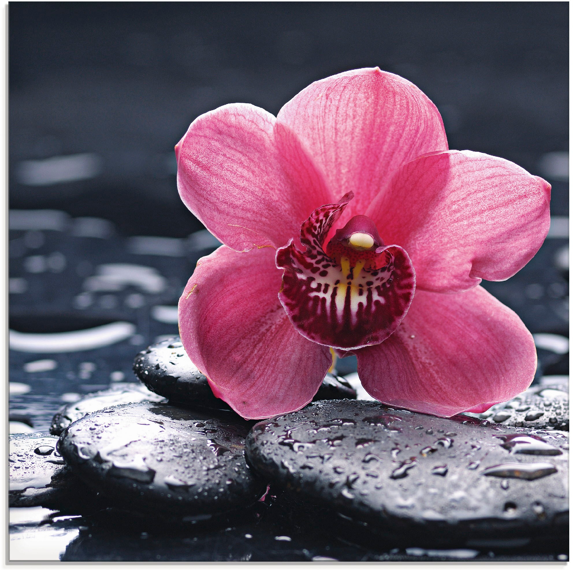 Image of Artland Glasbild "Stillleben mit Kiesel und einer Orchidee" Blumen 1 Stk. tlg. in verschiedenen Grössen