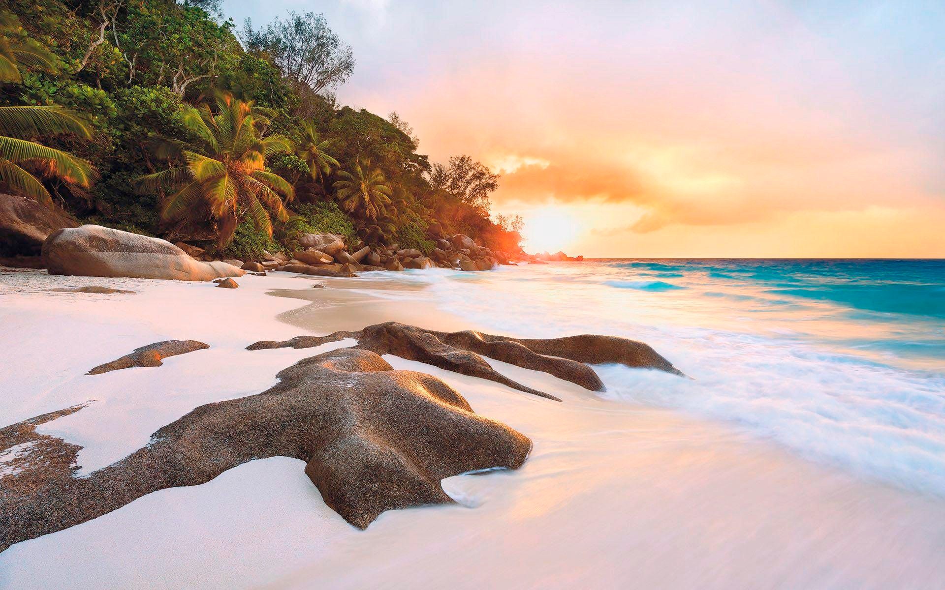 Image of Komar Vliestapete »Nature«, Strand bei Ackermann Versand Schweiz