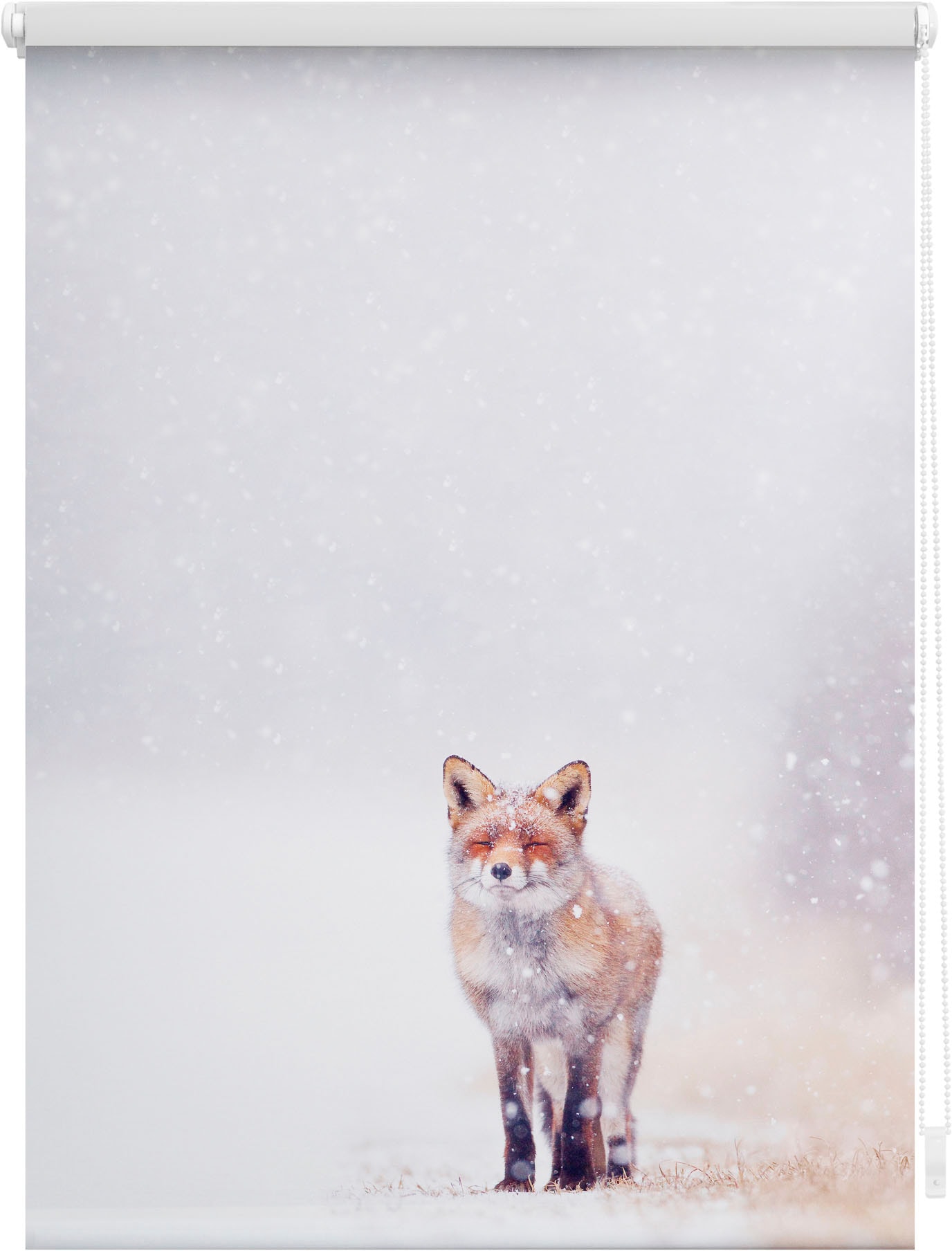 Motiv günstig ohne bedruckt Fuchs Bohren, Schnee«, freihängend, im LICHTBLICK kaufen ORIGINAL Lichtschutz, Seitenzugrollo »Klemmfix