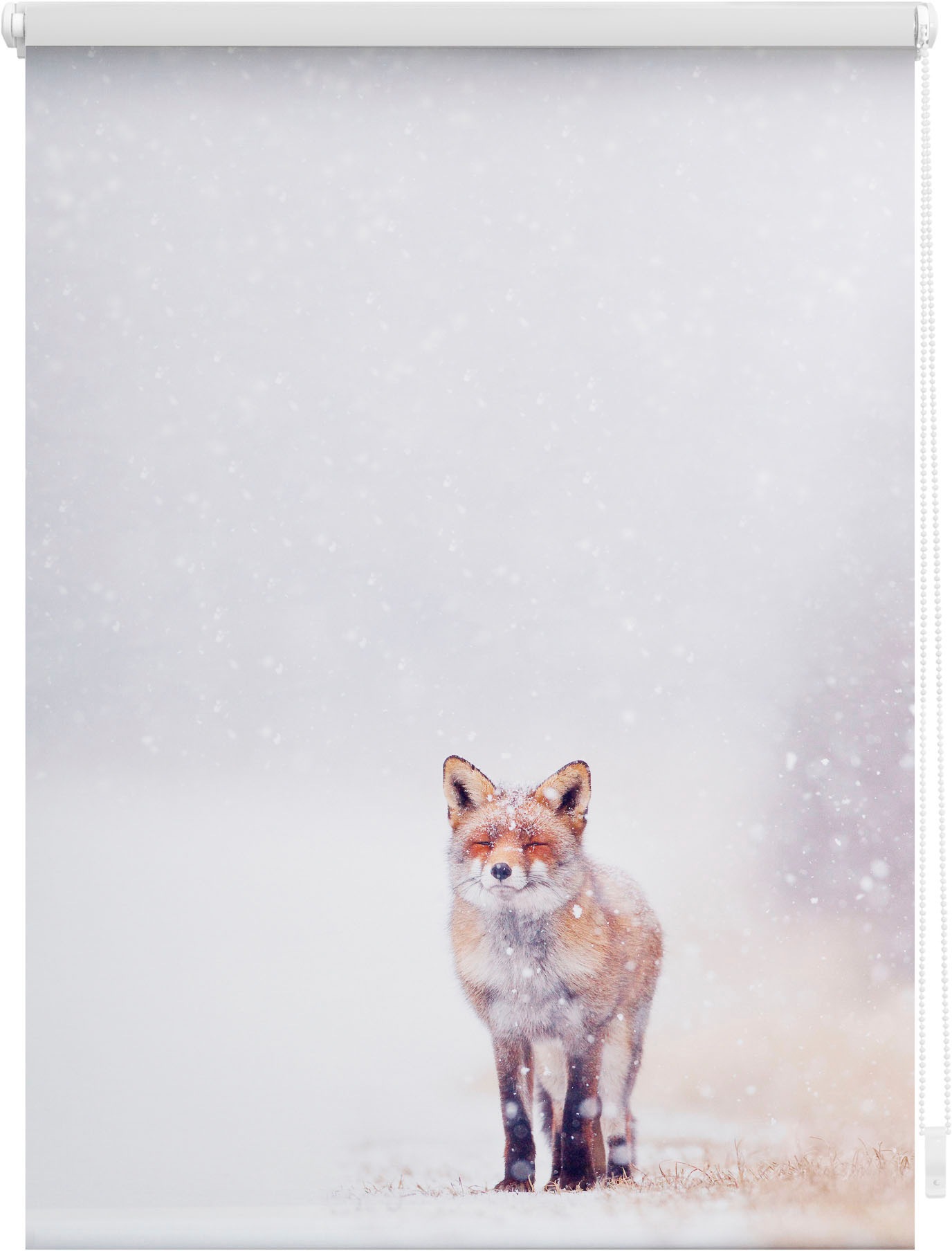 Image of LICHTBLICK ORIGINAL Seitenzugrollo "Klemmfix Motiv Fuchs im Schnee" Lichtschutz ohne Bohren freihängend bedruckt