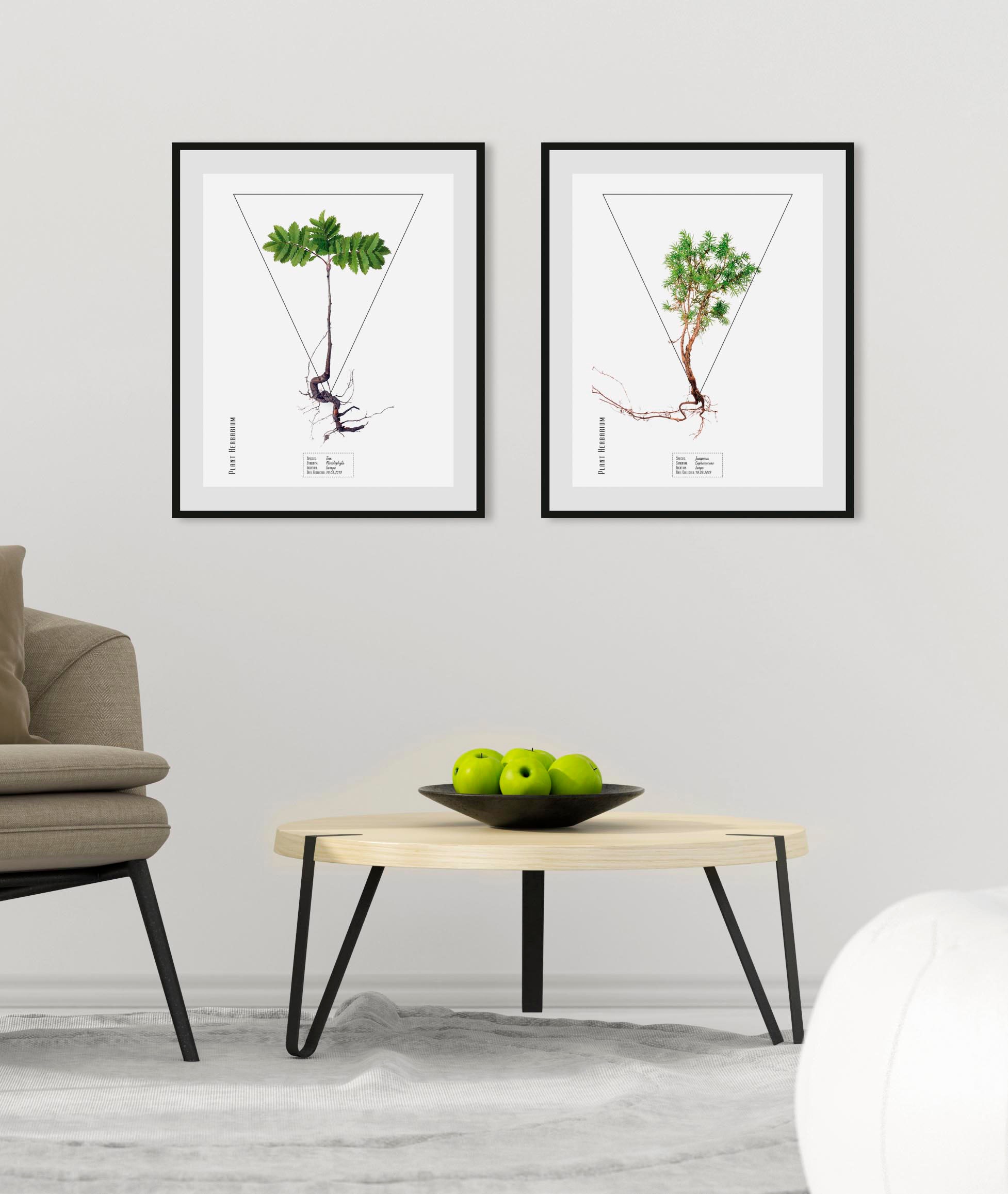 Image of queence Bild "Juniperus" Pflanzen Pflanzenbilder Schriftzug 1 Stk. tlg. HD Premium Poster-Druck inkl. Holzrahmen