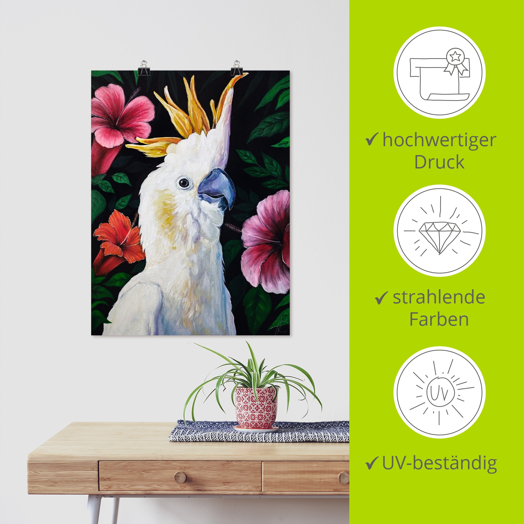 Artland Wandbild »Coco Paradiso« Vogelbilder 1 Stk. tlg. als Alubild, Leinwandbild, Poster, Wandaufkleber in verschied. Grössen