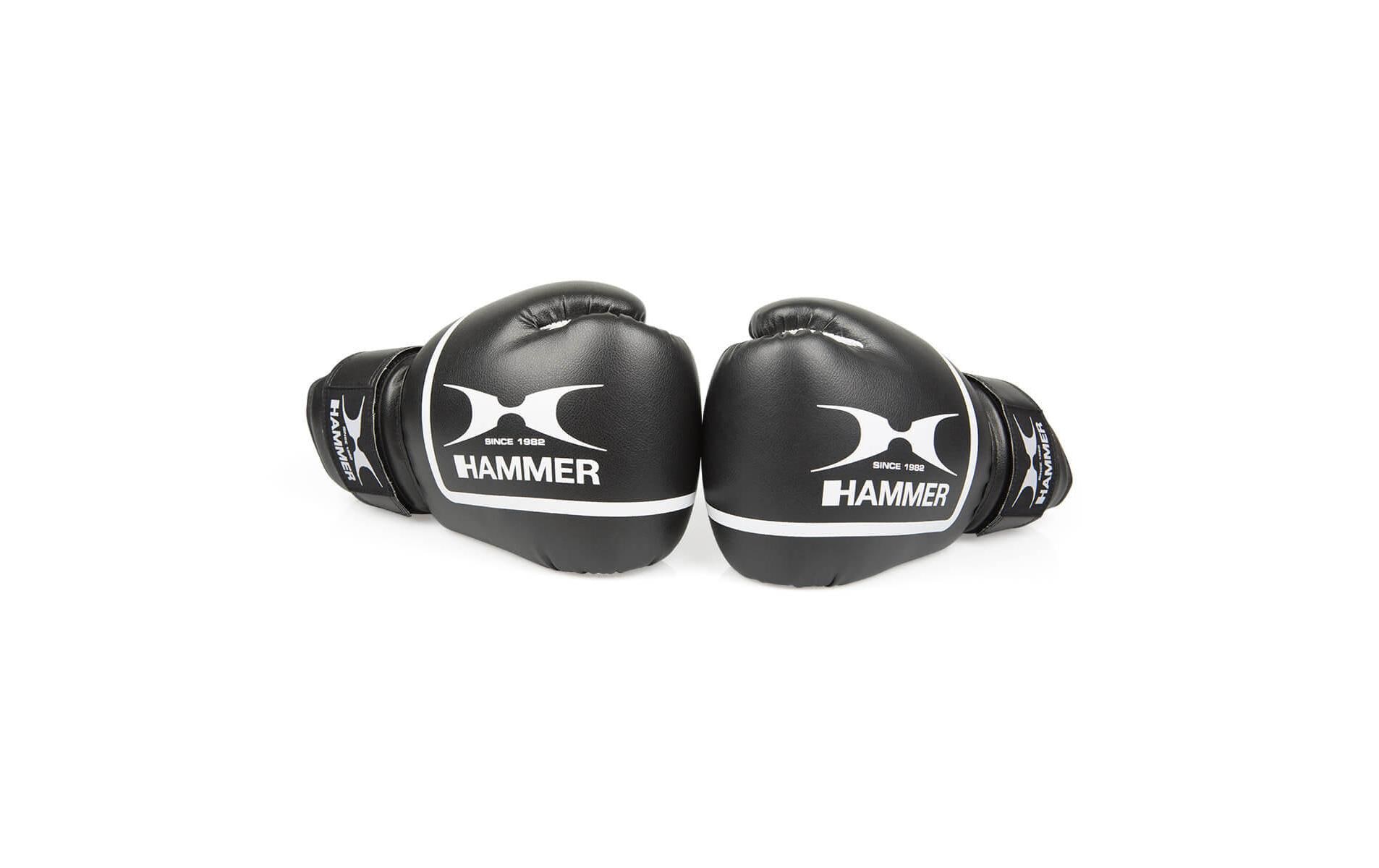 Hammer Boxhandschuhe »FIT II 10 OZ«