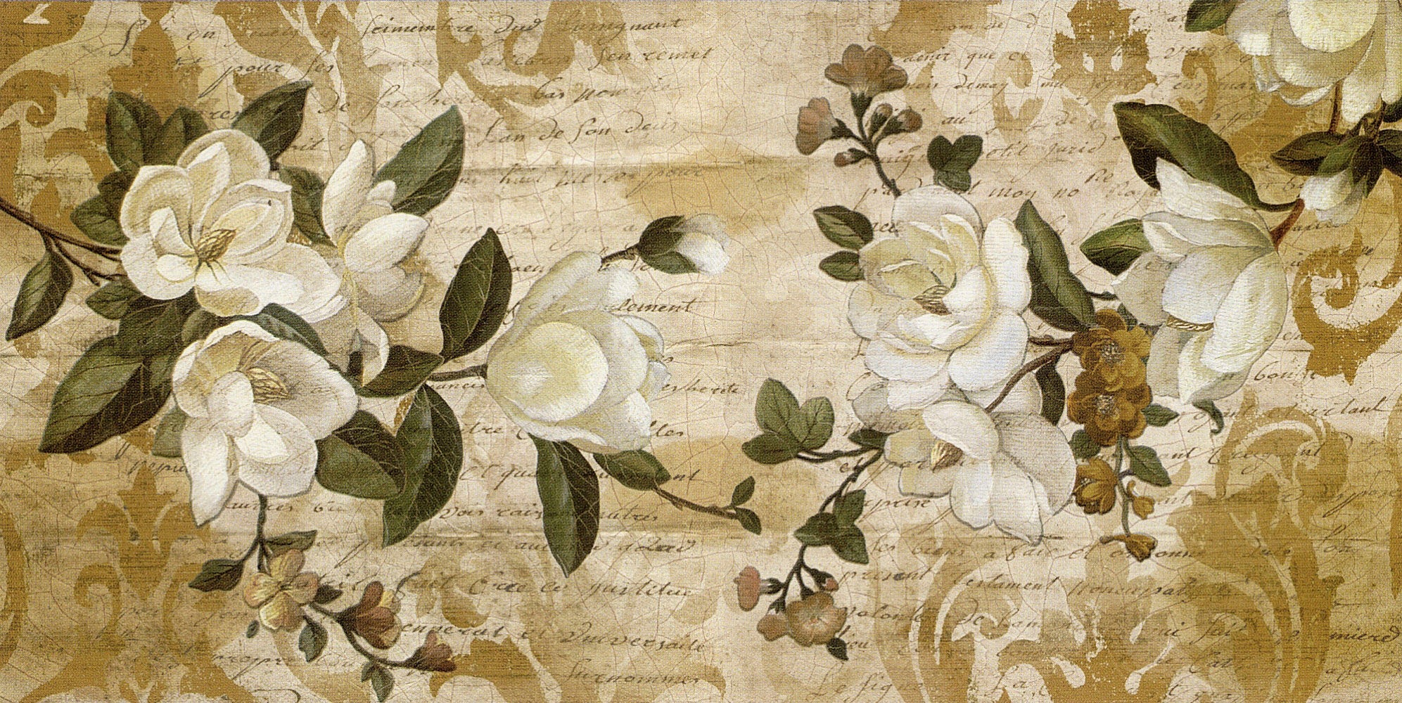 Image of Home affaire Kunstdruck »CHRIS DONOVAN / Magnolia Romance«, (1 St.) bei Ackermann Versand Schweiz