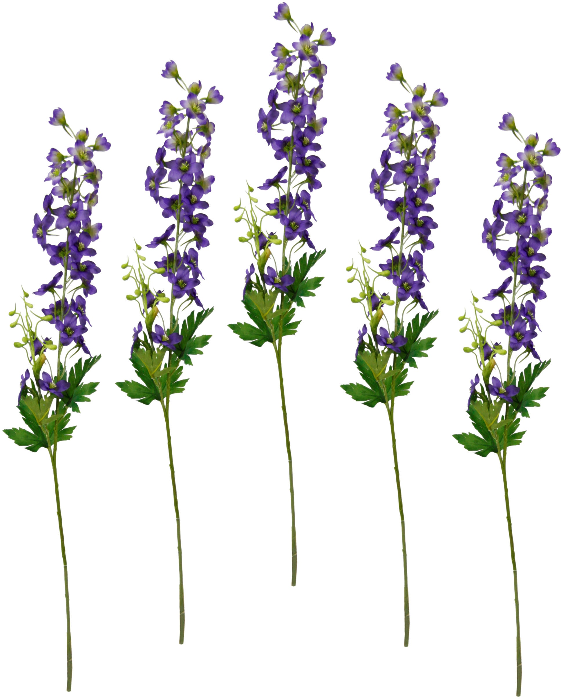 Image of I.GE.A. Kunstblume »Delphinium«, (5 St.), 5er Set bei Ackermann Versand Schweiz