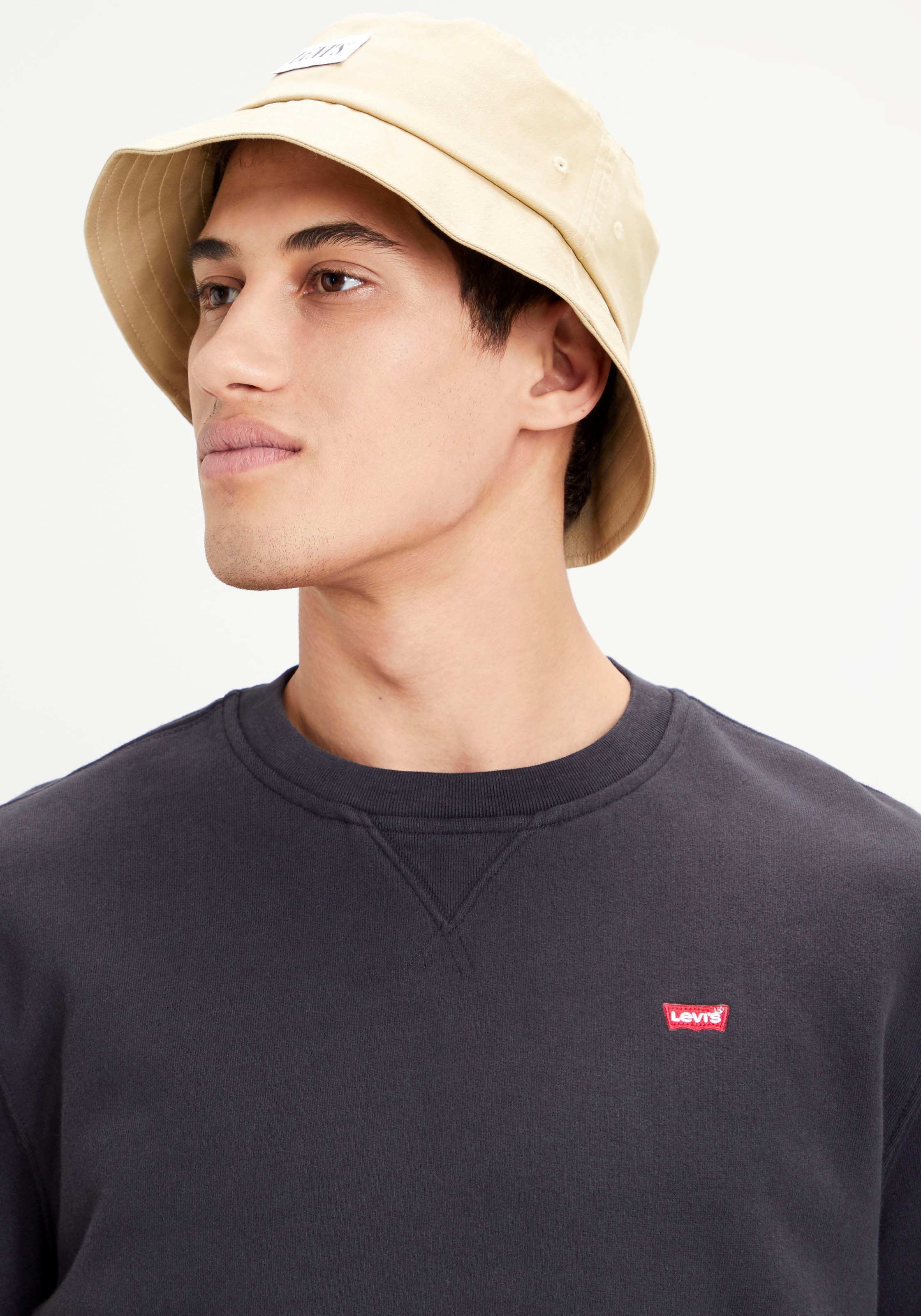 Levi's® Sweatshirt »SWEATSHIRT NEW ORIGINAL CREW«
