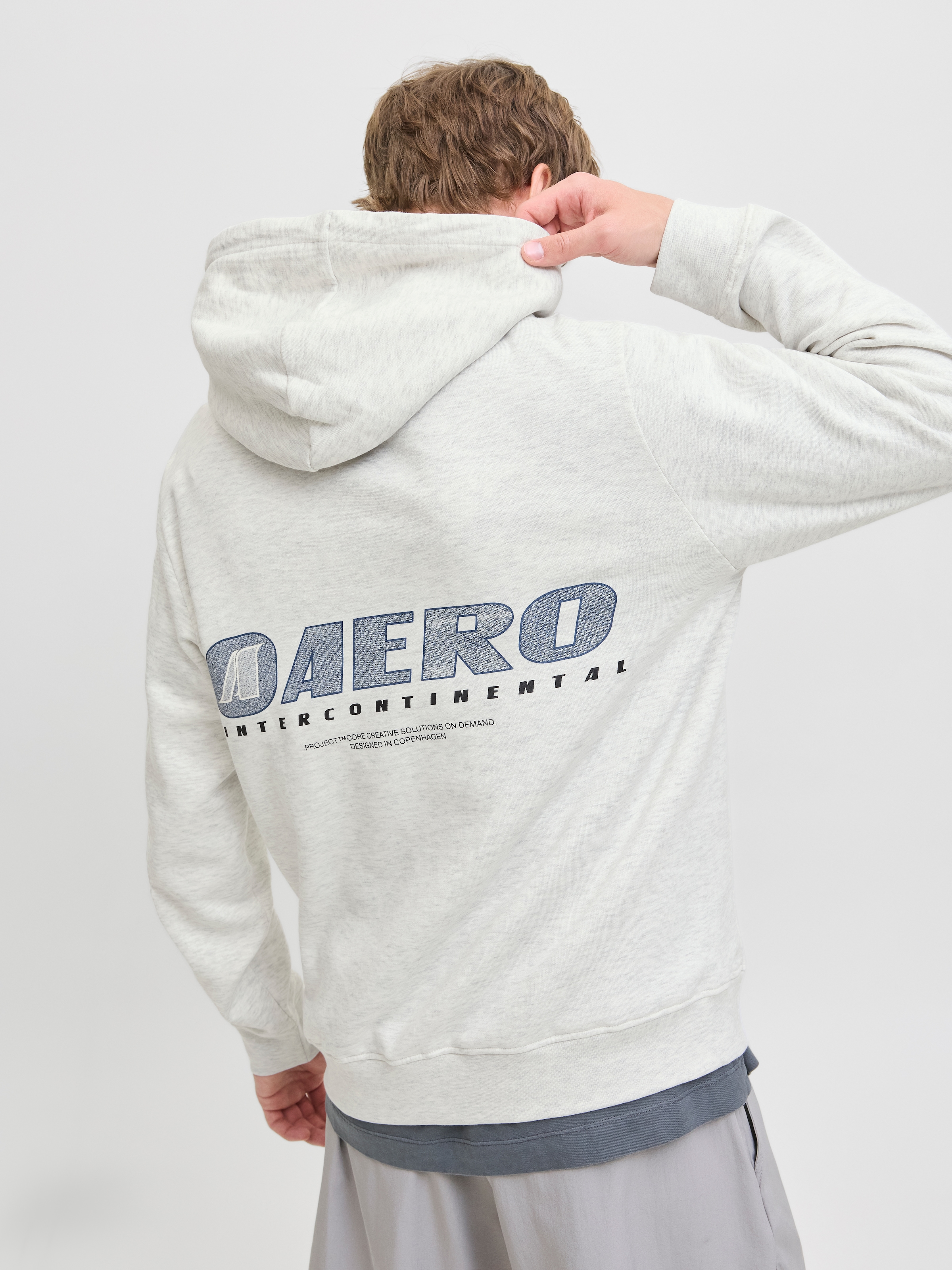 Jack & Jones Kapuzensweatshirt »JCOTIER PRINT SWEAT HOOD«