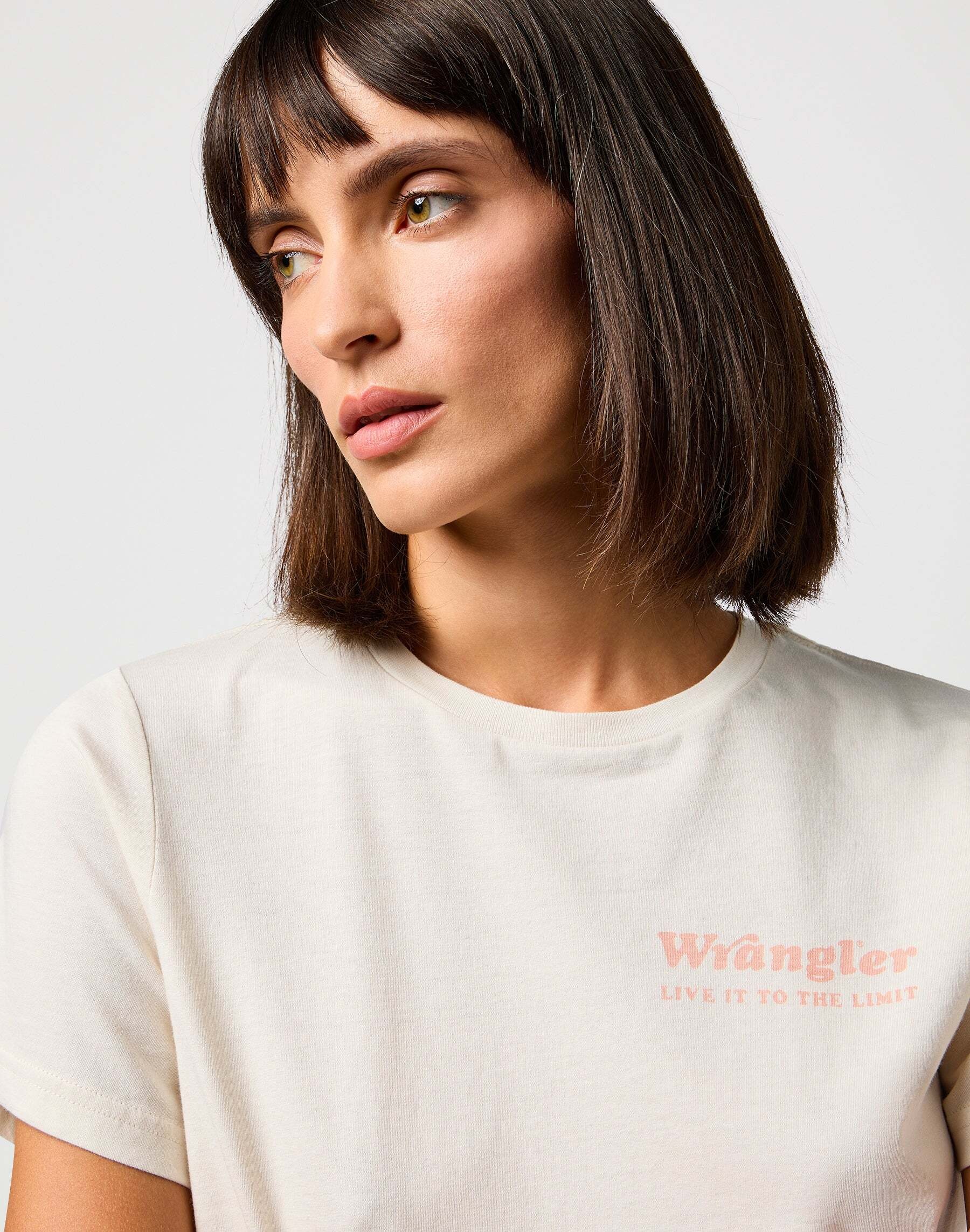 Wrangler T-Shirt »Wrangler T-Shirts Regular Tee«