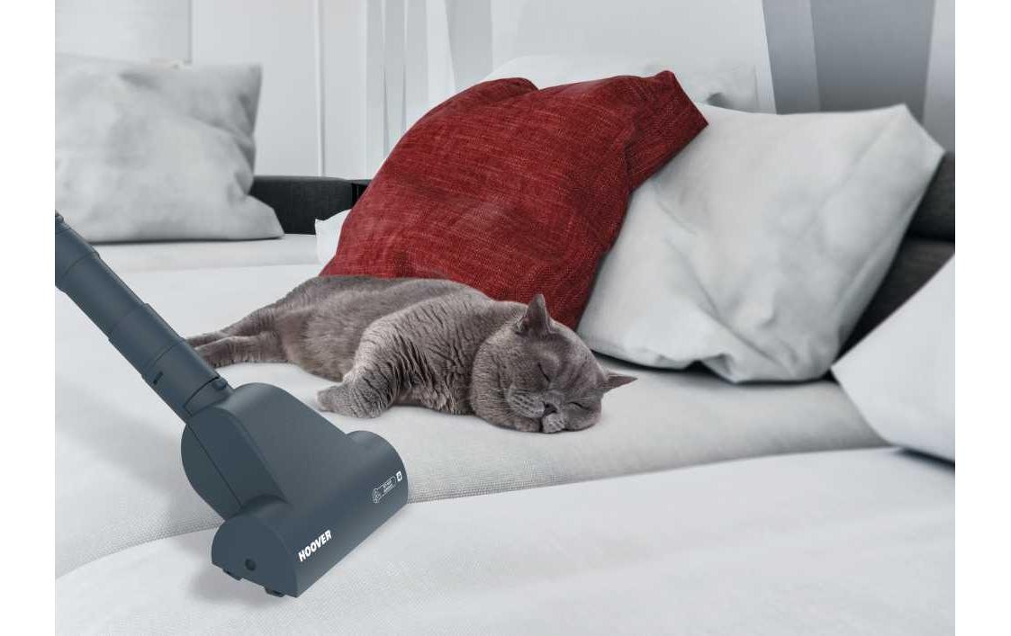 Hoover Bodenstaubsauger »Hoover Schlittenstaubsauger TE77PET 021«, 700 W, mit Beutel