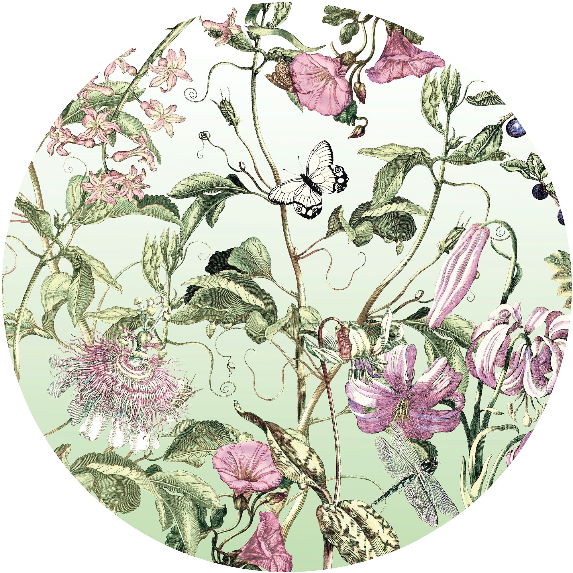 Image of Komar Fototapete »Louloudi«, Comic-botanisch, 125 x 125 cm bei Ackermann Versand Schweiz