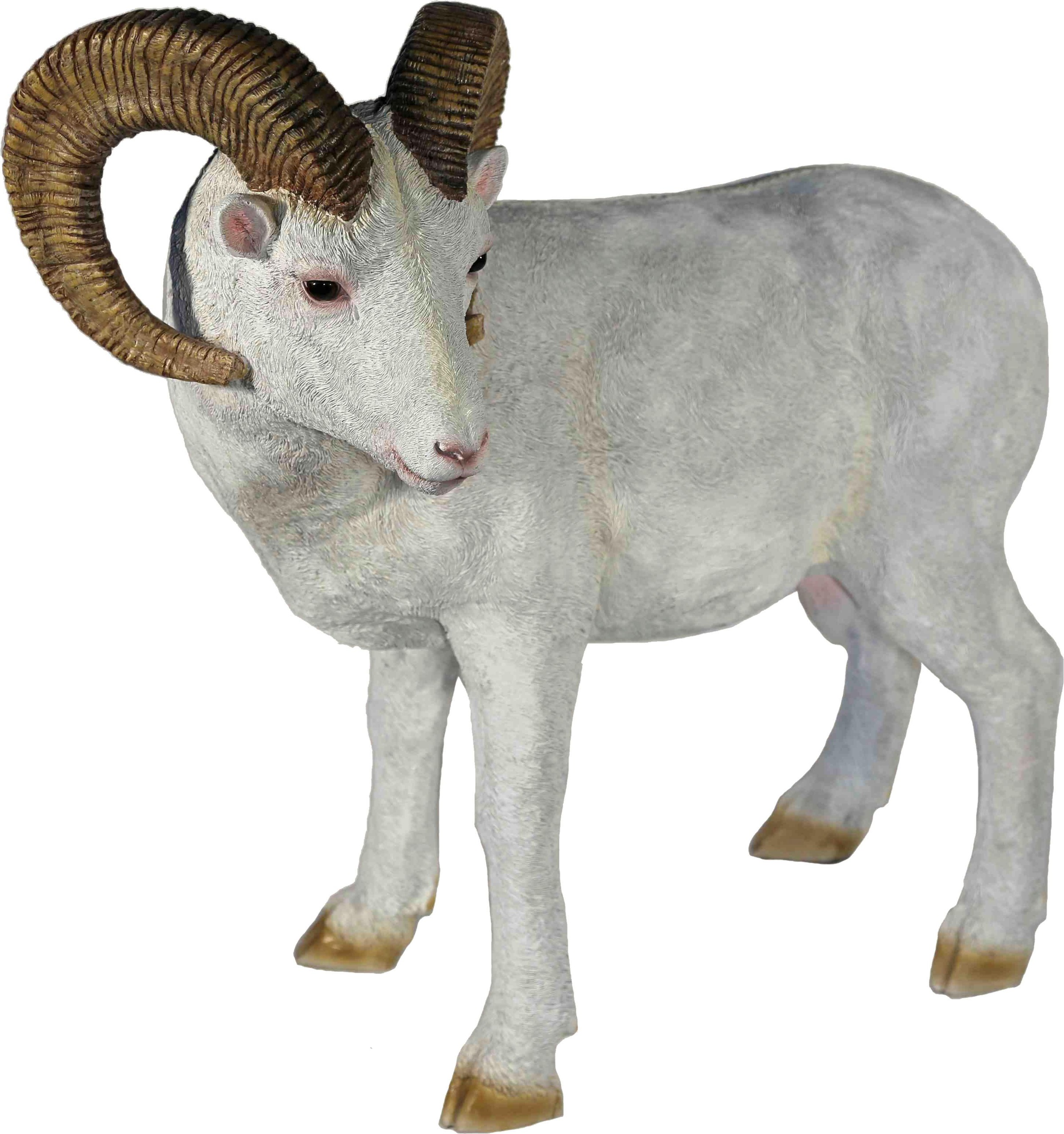 Image of Casa Collection by Jänig Tierfigur »Widder«, Länge 70 cm bei Ackermann Versand Schweiz