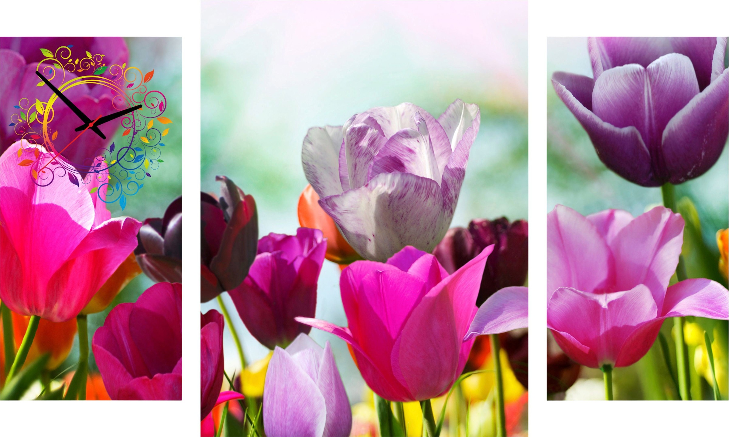 Image of Conni Oberkircher´s Bild mit Uhr »May Colours - lila Tulpen«, Blumen, (Set, (Set 3), mit dekorativer Uhr, Frühling, Natur, Sonne bei Ackermann Versand Schweiz