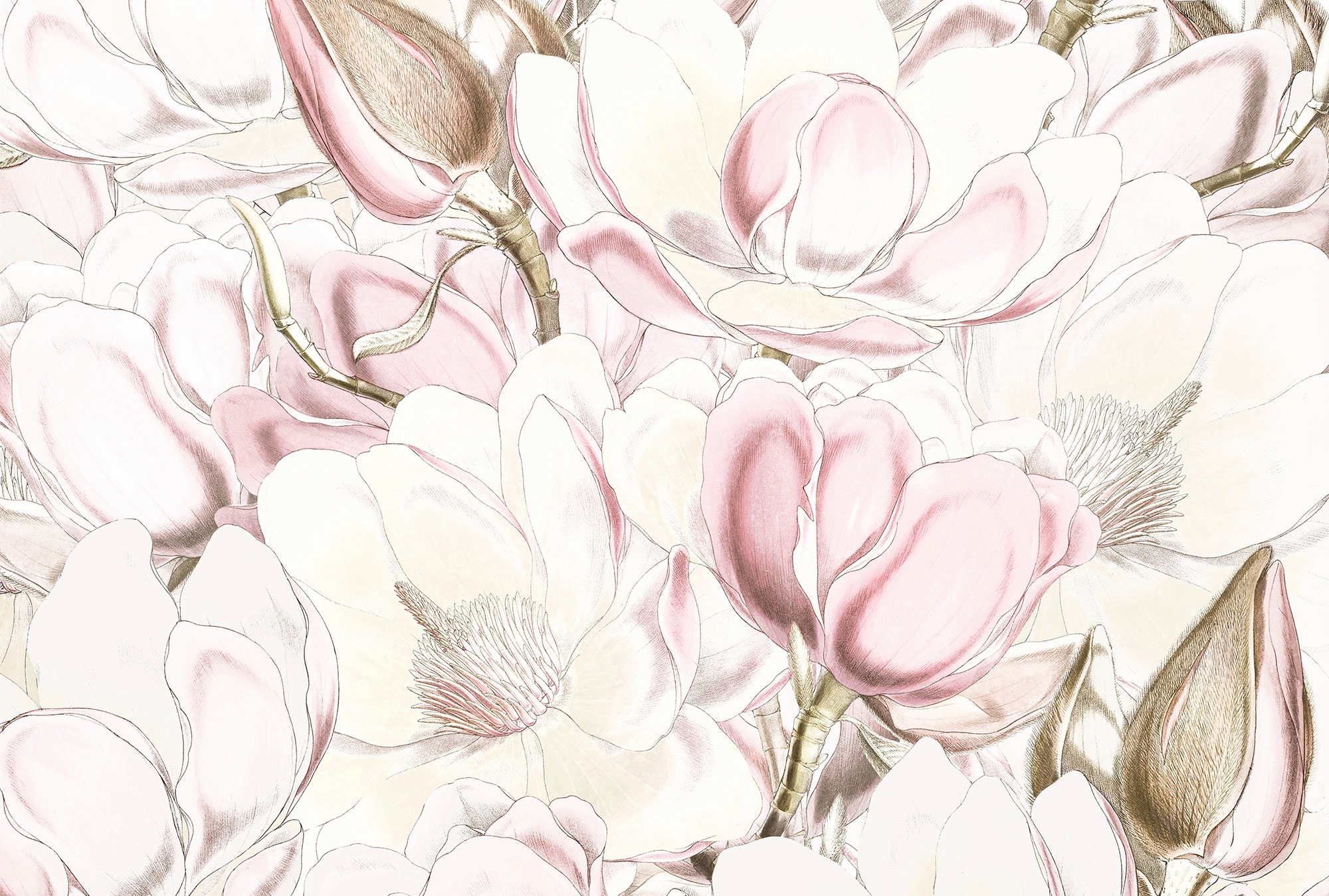 Image of Komar Fototapete »Petals«, bedruckt-floral-realistisch bei Ackermann Versand Schweiz
