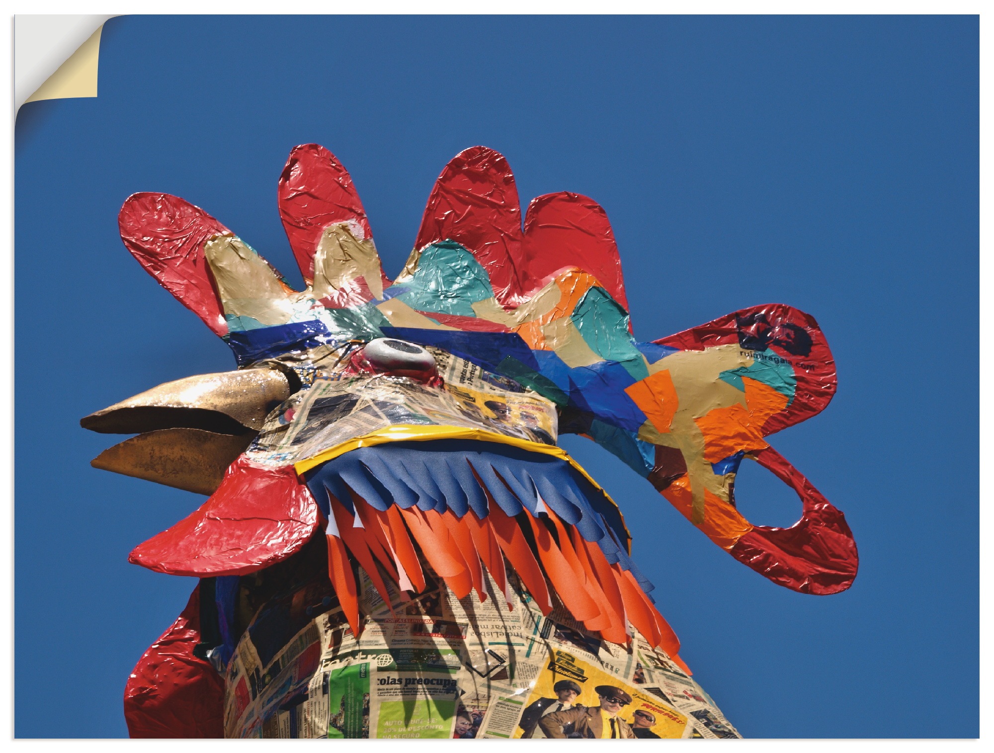 Image of Artland Wandbild »Portugal Gallo«, Vögel, (1 St.), in vielen Grössen & Produktarten - Alubild / Outdoorbild für den Aussenbereich, Leinwandbild, Poster, Wandaufkleber / Wandtattoo auch für Badezimmer geeignet bei Ackermann Versand Schweiz