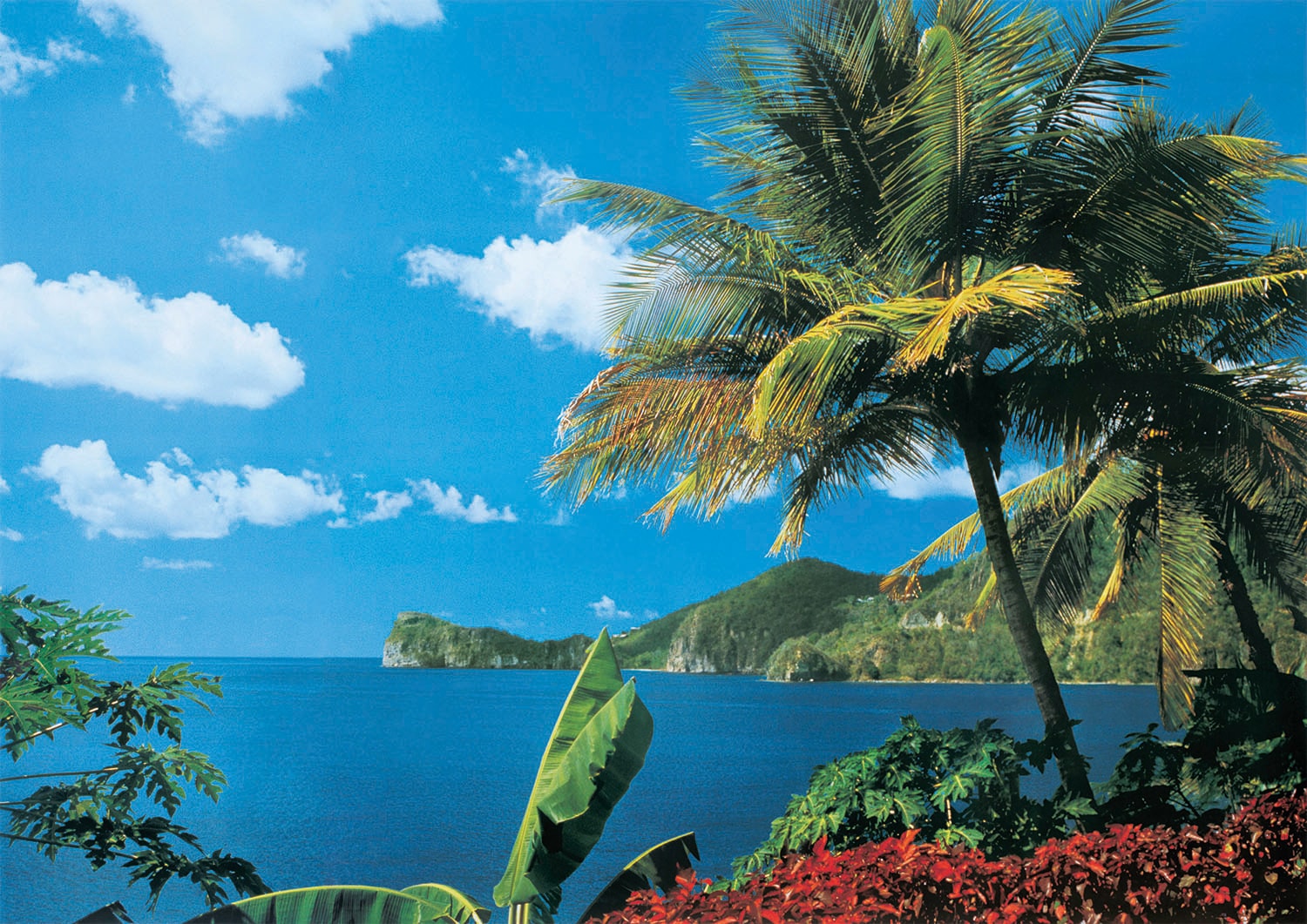 Image of Papermoon Fototapete "St. Lucia" glatt