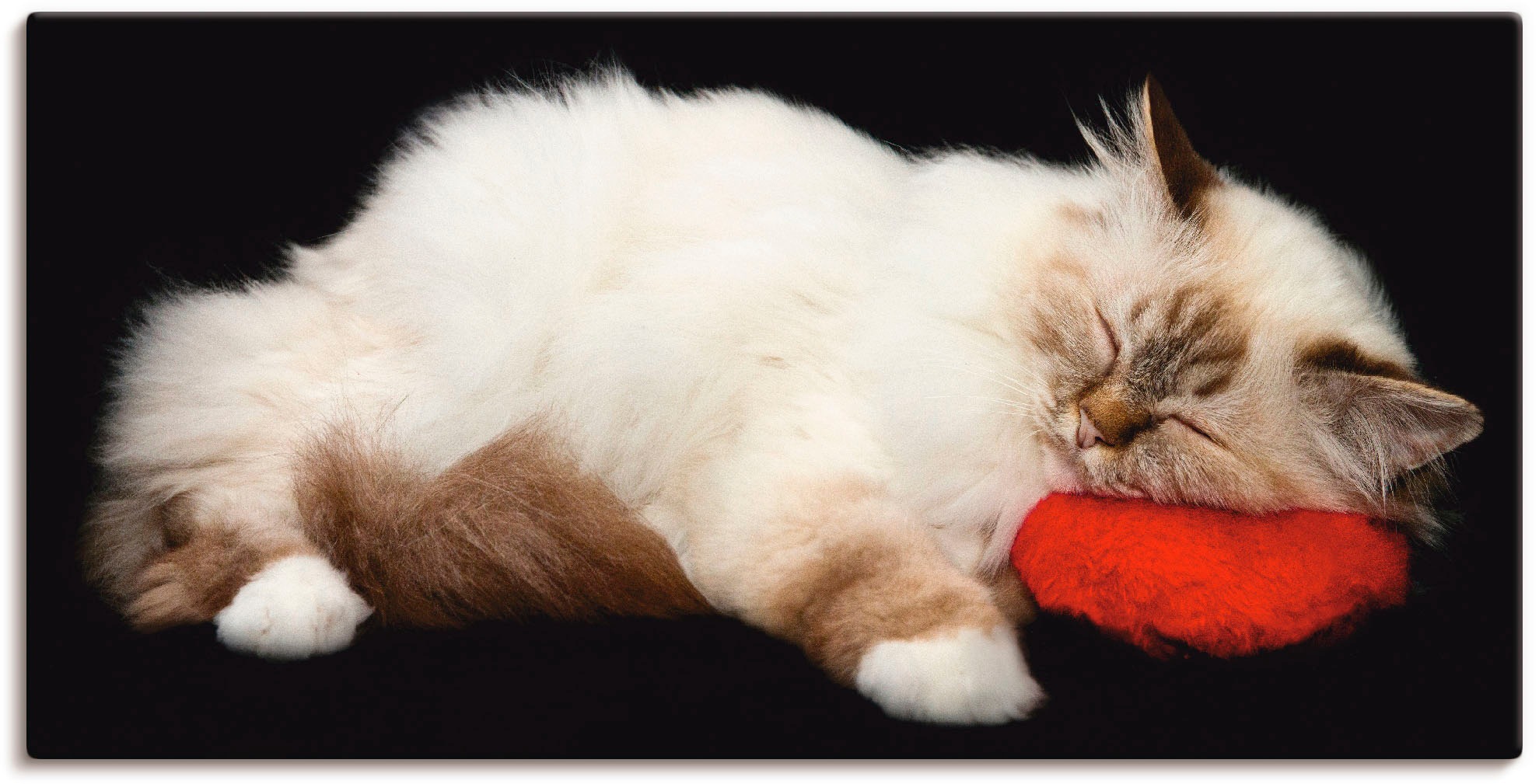 Image of Artland Leinwandbild "Müde Katze" Haustiere 1 Stk. tlg. auf Holzrahmen gespannt
