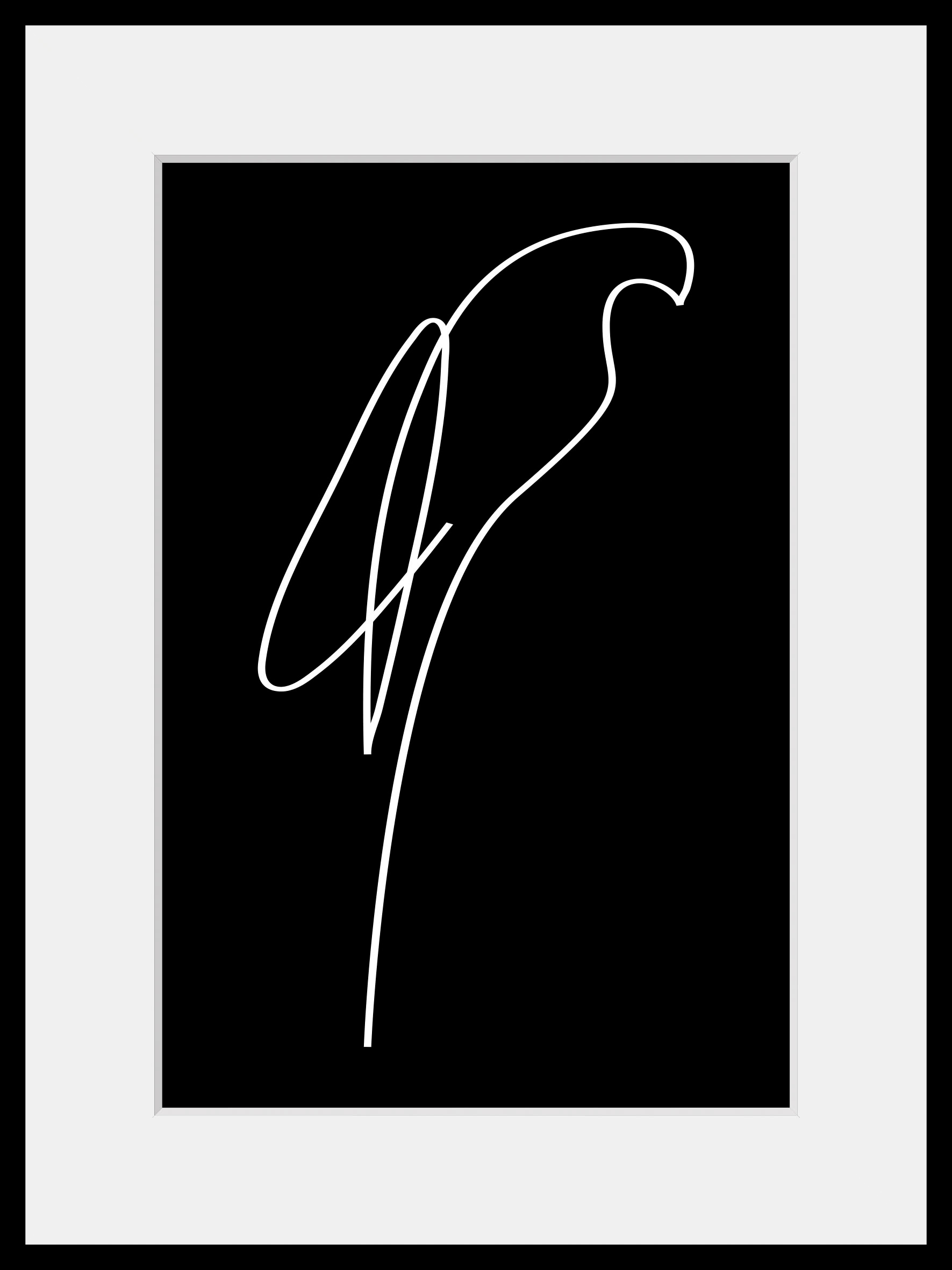 queence Bild »Julian«, Schwarz-Weiss-Kunst-Modern-Vögel-Vogelbilder-Papageien, (1 St.), HD Premium Poster-Druck inkl. Holzrahmen