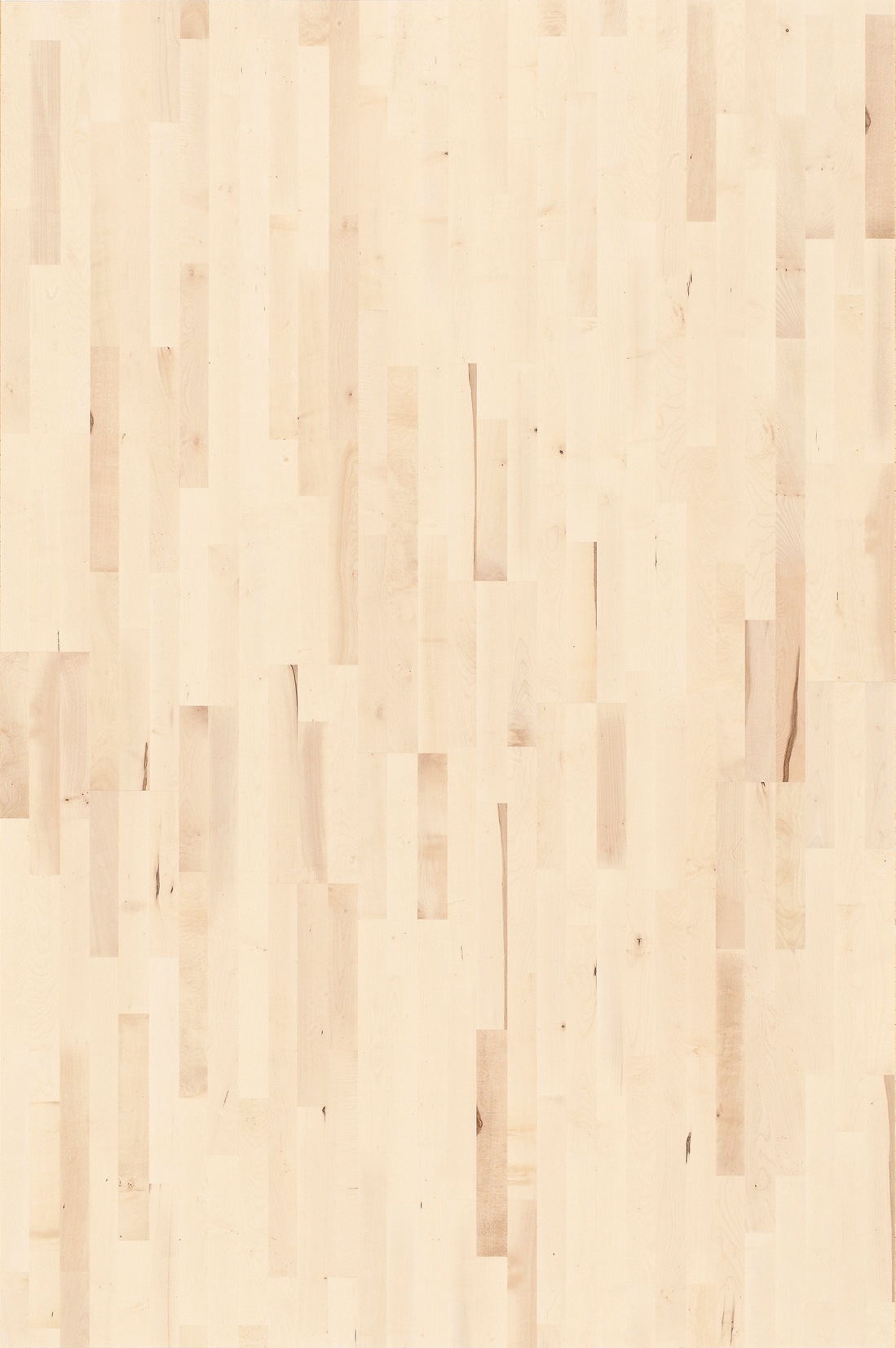 Image of PARADOR Parkett »Basic Rustikal - Bergahorn, weiss lackiert«, (Packung), ohne Fuge, 1080 x 185 mm, Stärke: 11,5 mm, 2,2 m² bei Ackermann Versand Schweiz