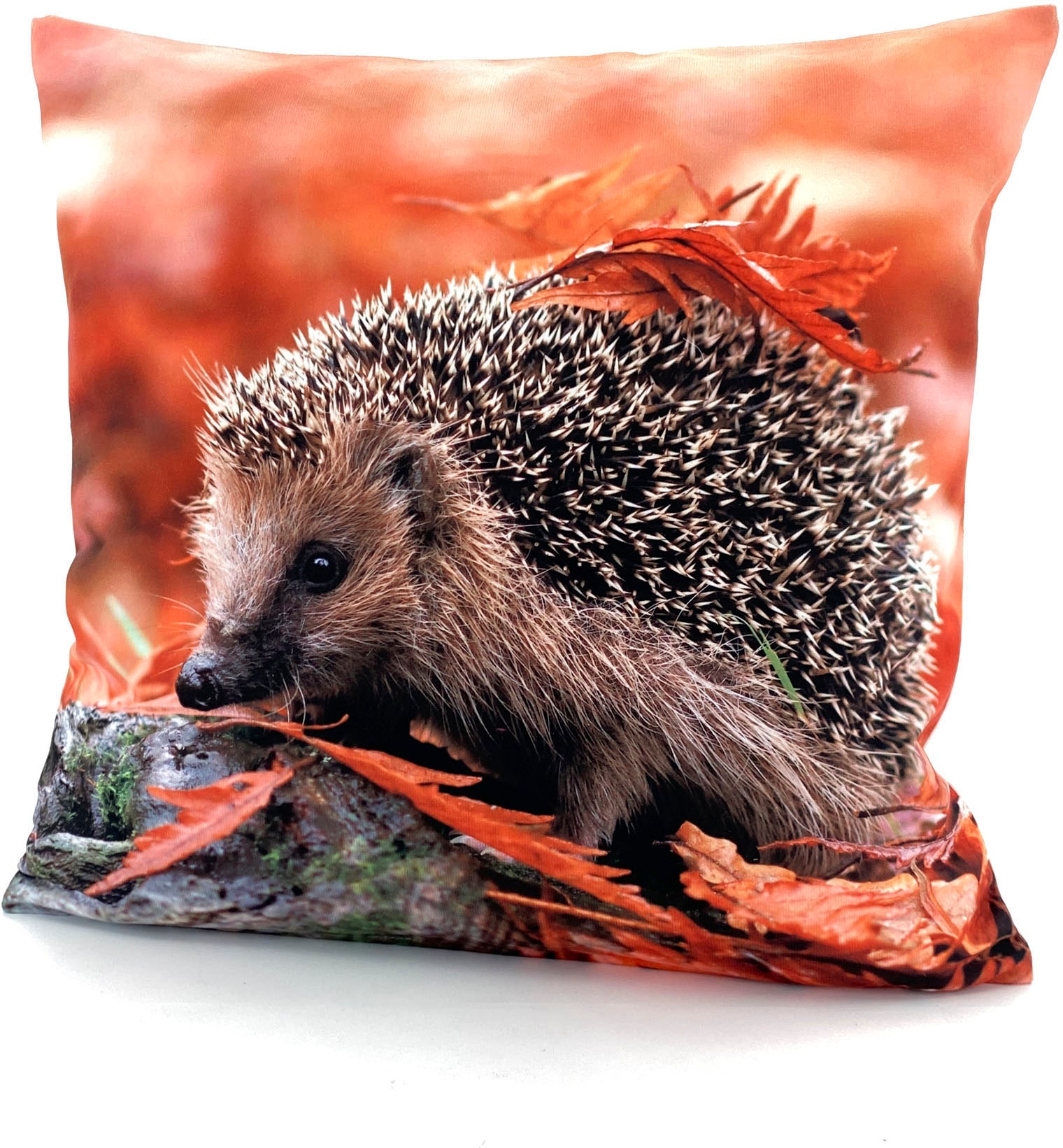 Image of Weckbrodt Dekokissen "Igel"
