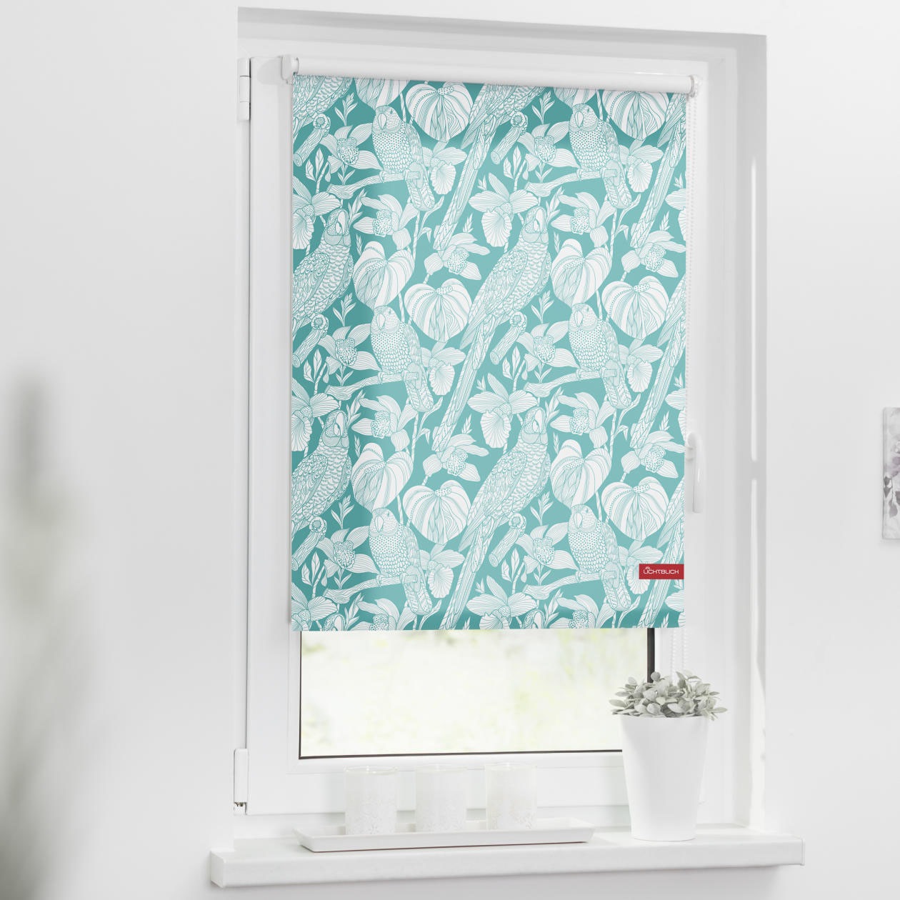 Image of LICHTBLICK ORIGINAL Seitenzugrollo »Rollo Klemmfix, ohne Bohren, Verdunkelung, Papagai - Türkis Petrol«, verdunkelnd, Verdunkelung-energiesparend, freihängend bei Ackermann Versand Schweiz
