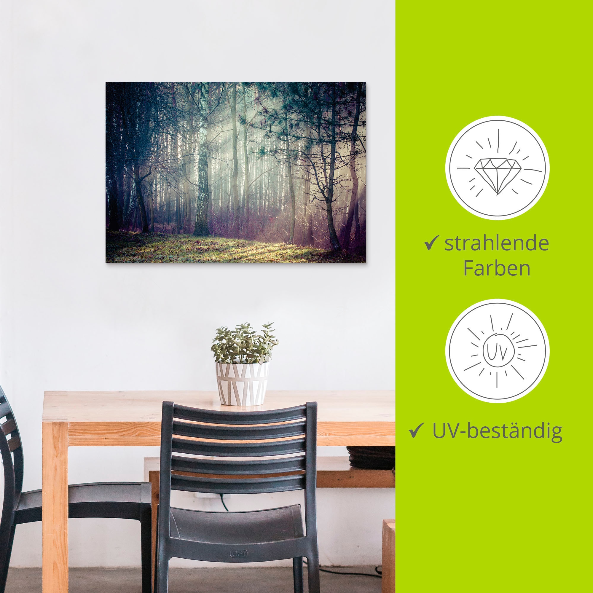 Artland Impression alu-dibond »Sonnenstrahlen im Wald« 1 cuis tlg. für Innen- und Aussenbereich geeignet, Outdoorbild