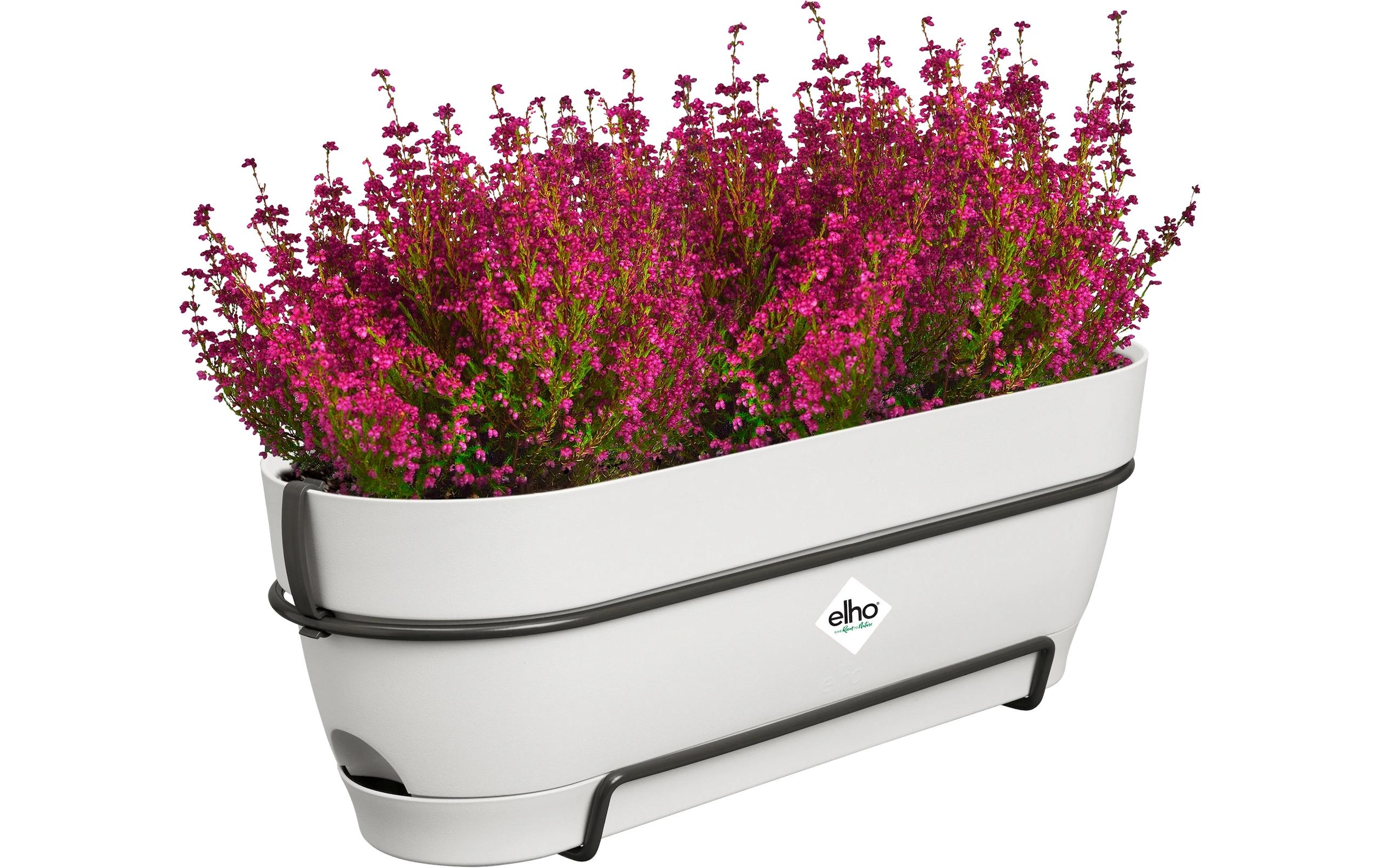 Elho Blumentopf »Vibia Campana Balkonkasten Allin1 50 cm«