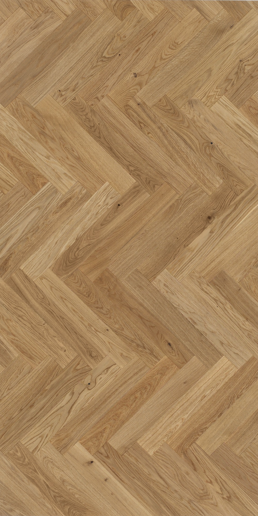 Image of PARADOR Parkett »Trendtime 3 Living - Eiche cream, lackiert«, (Packung), Klicksystem, 570 x 95 mm, Stärke: 10,5 mm, 1,08 m² bei Ackermann Versand Schweiz