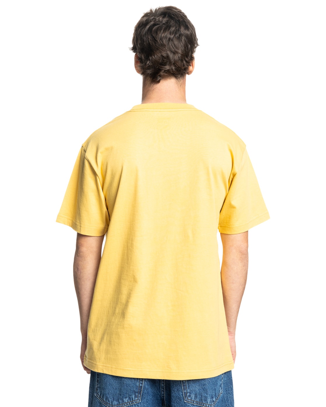 DC Shoes T-shirt »DC Star Pocket«
