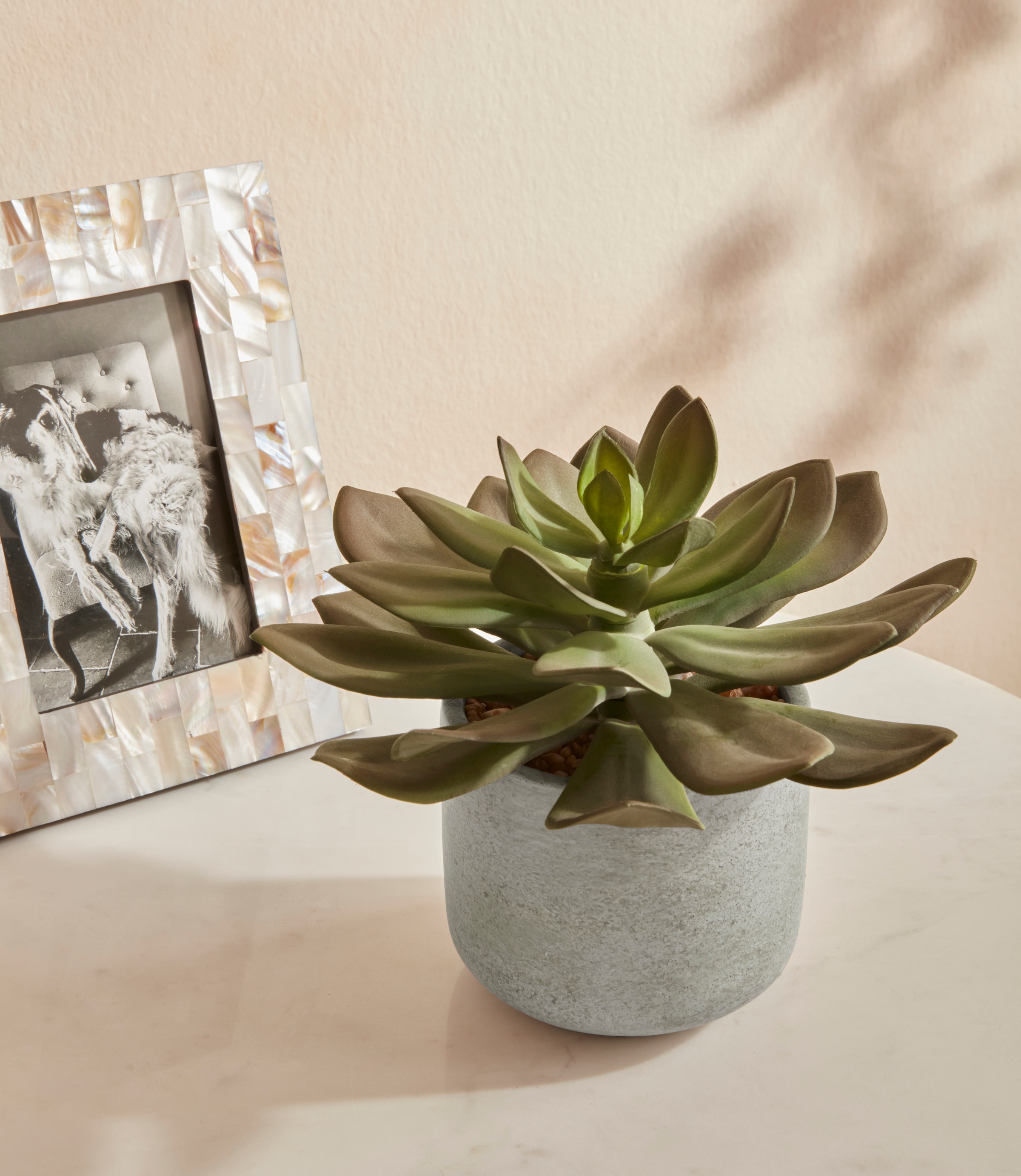 Image of Guido Maria Kretschmer Home&Living Kunstpflanze »Cacheteria«, (1 St.), Sukkulente, im Zementtopf bei Ackermann Versand Schweiz