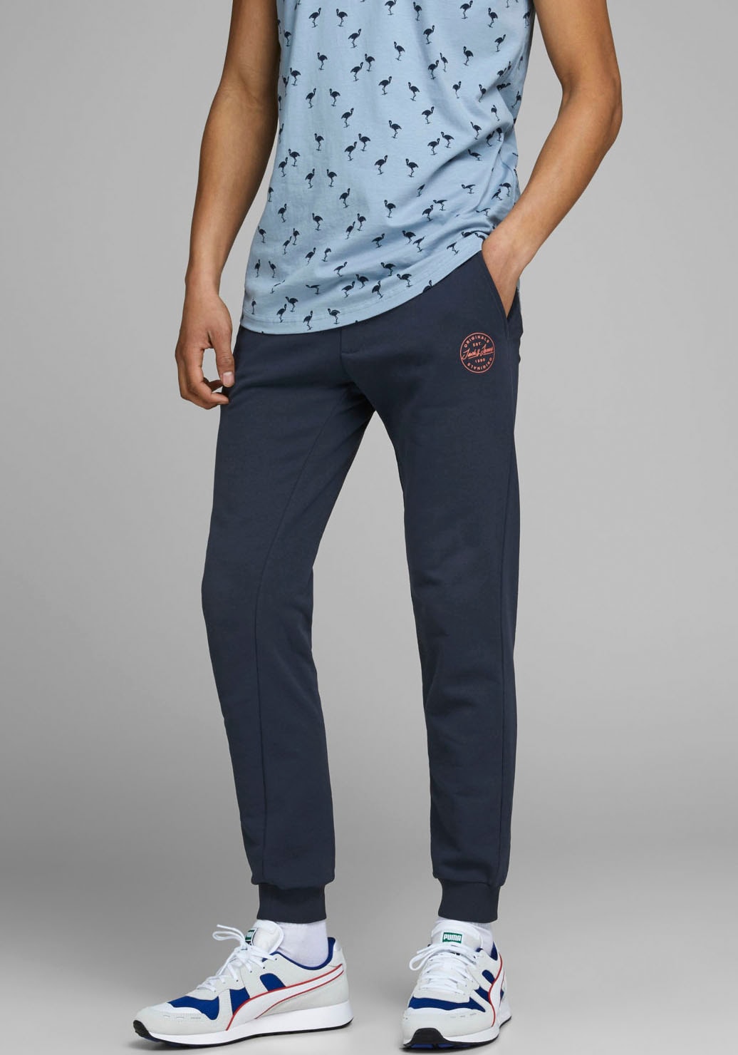 Jack & Jones Jogginghose »Gordon Shark Sweat Pants«